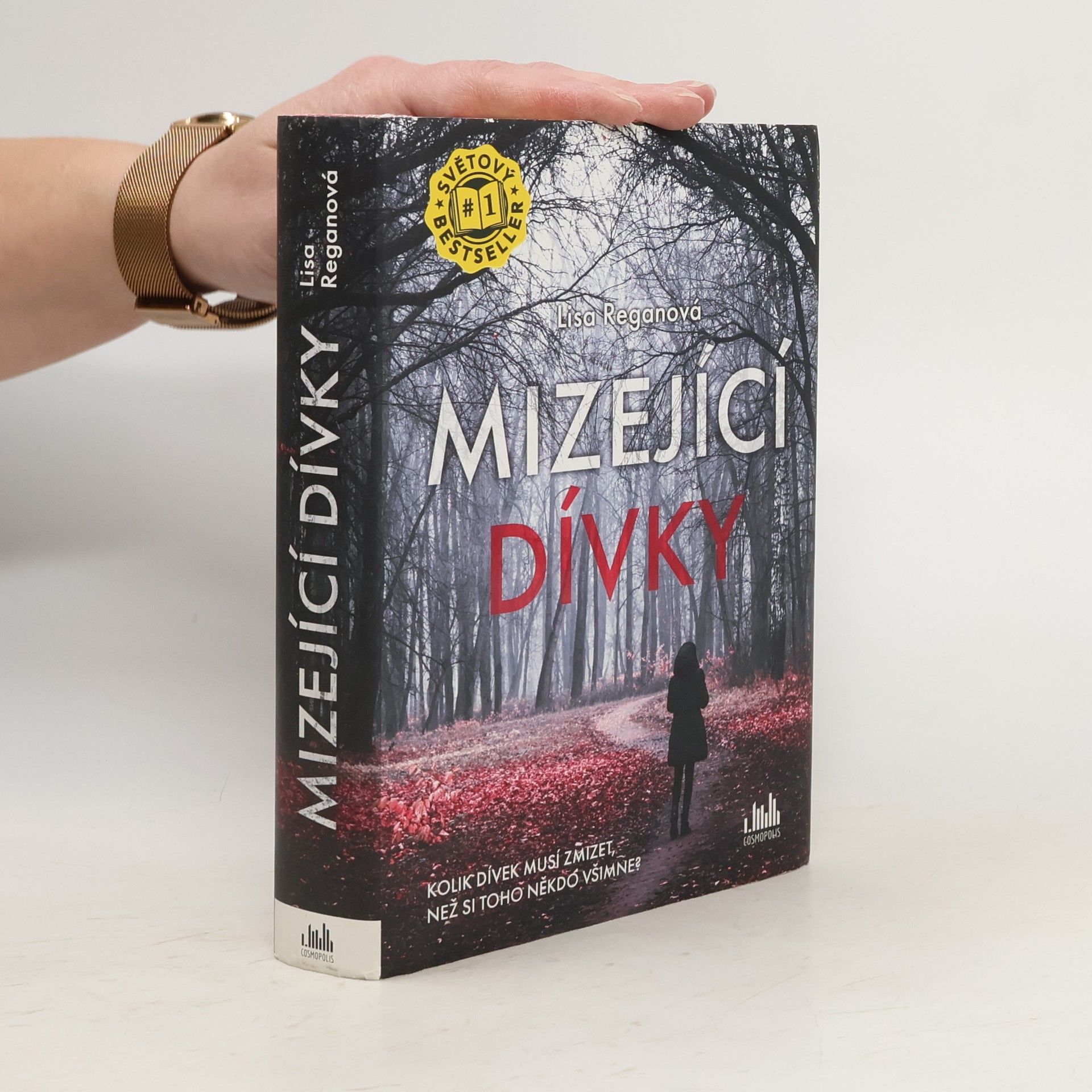 Lisa Regan Mizející dívky