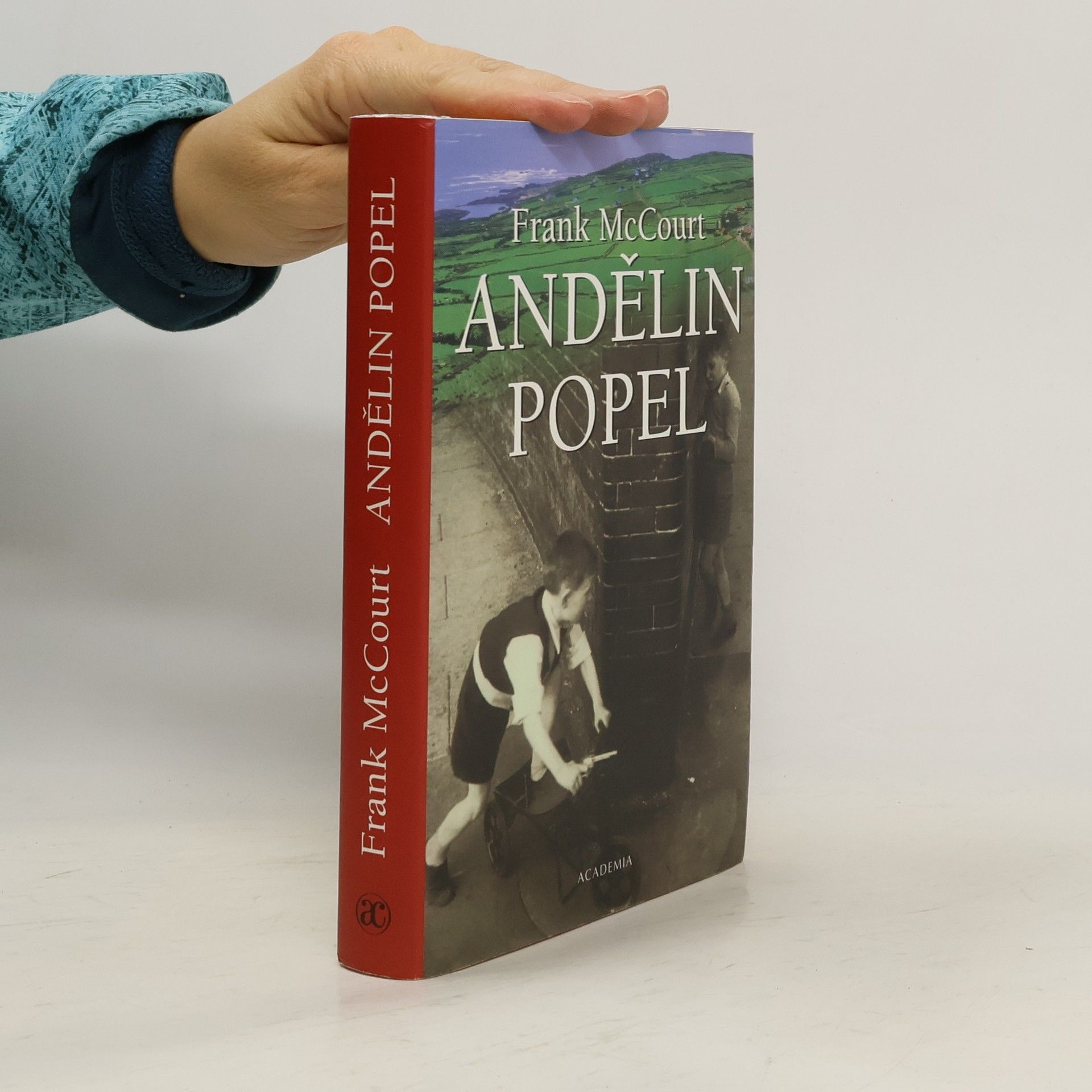 Frank McCourt Andělin popel