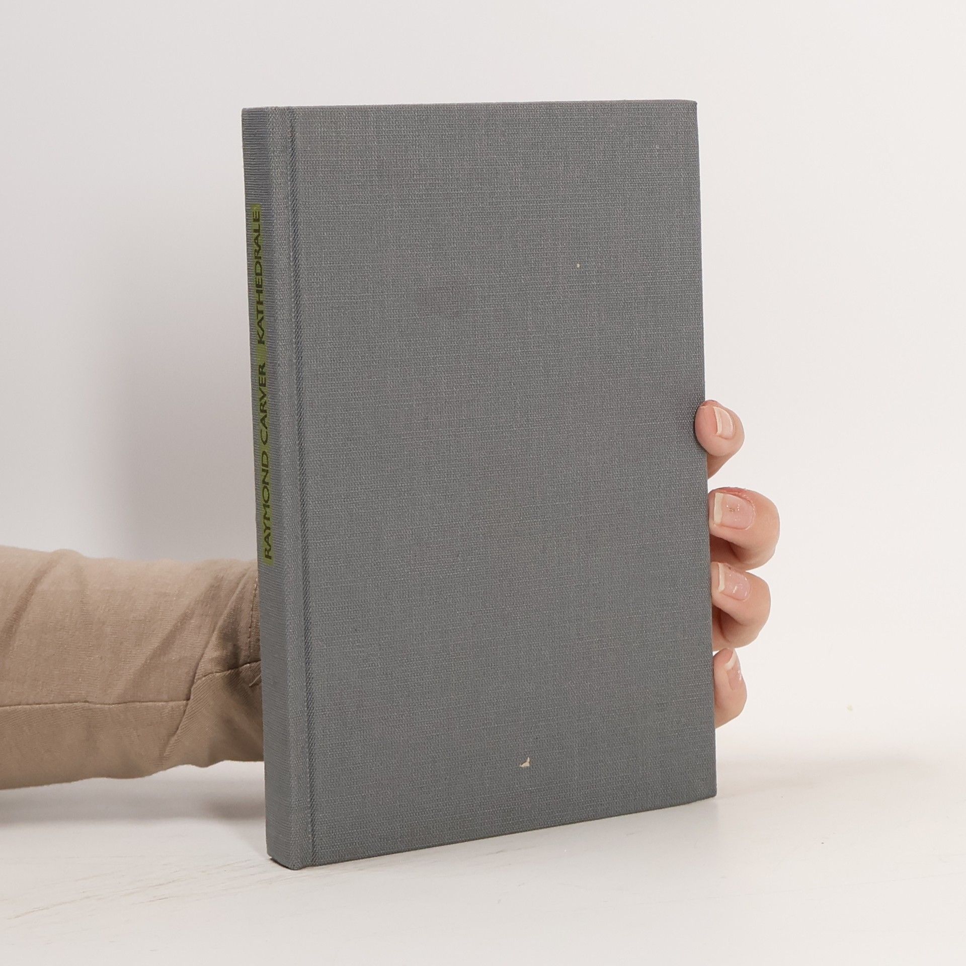 Raymond Carver Kathedrale