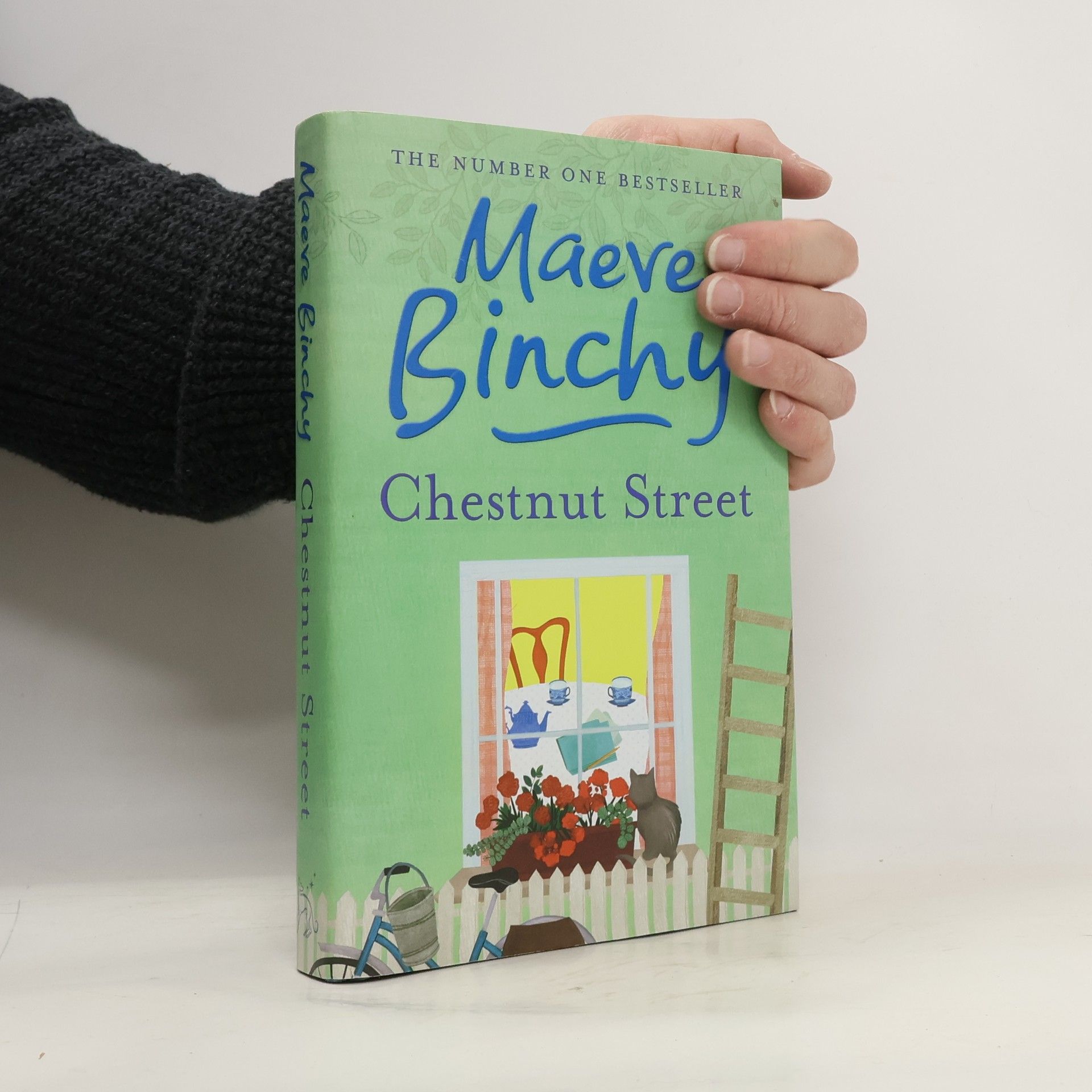 Maeve Binchy Chestnut Street