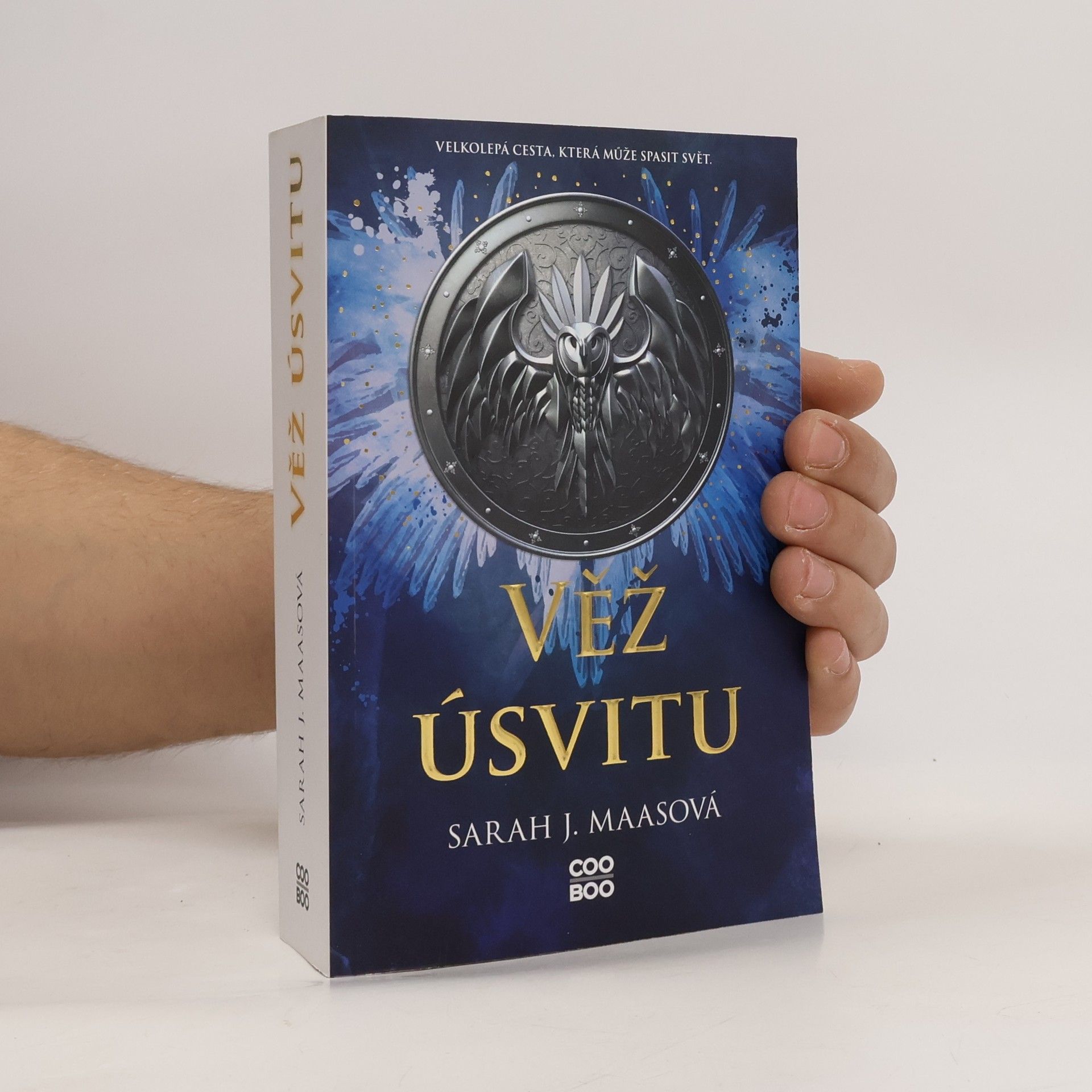 Sarah J. Maas Věž úsvitu
