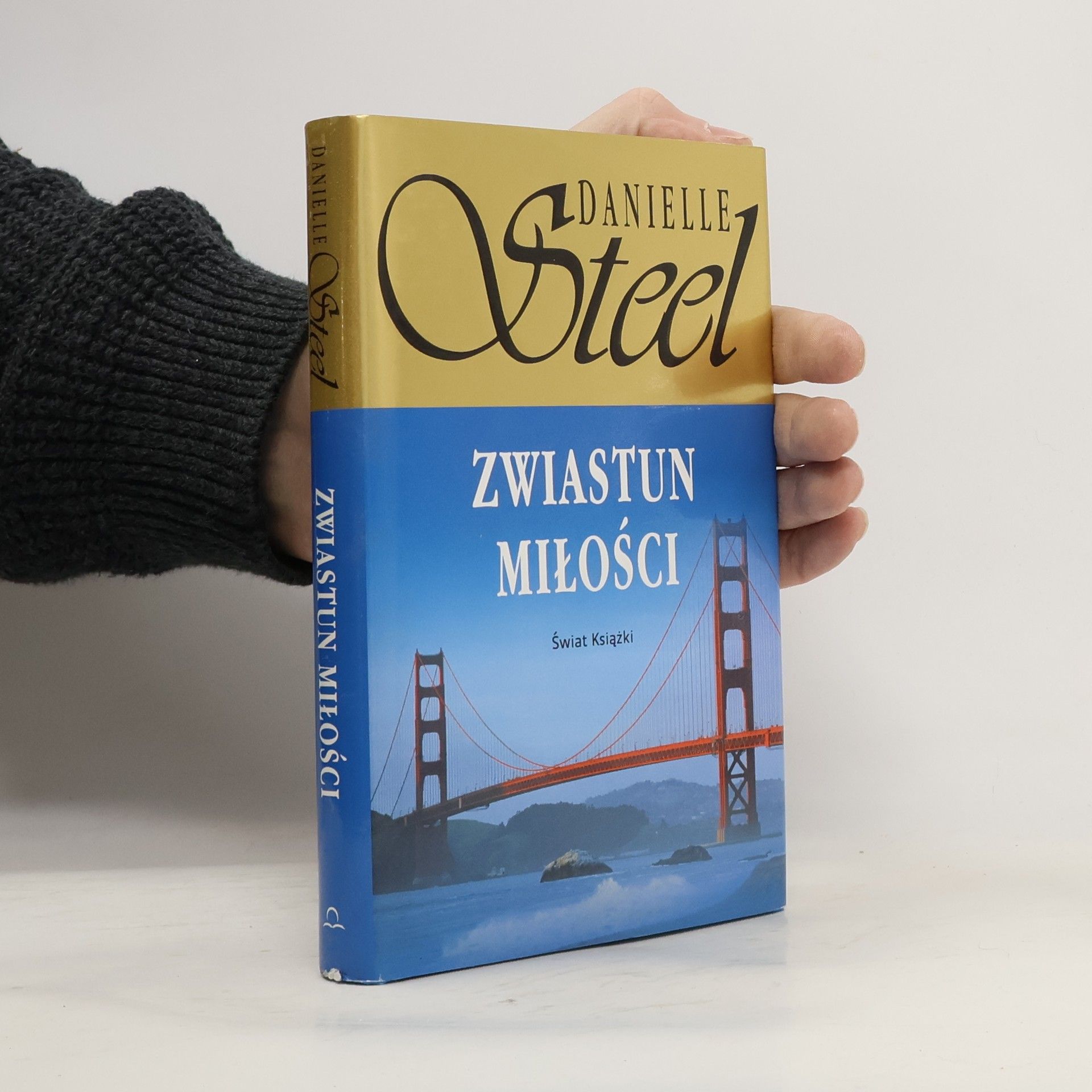 Danielle Steel Zwiastun miłości