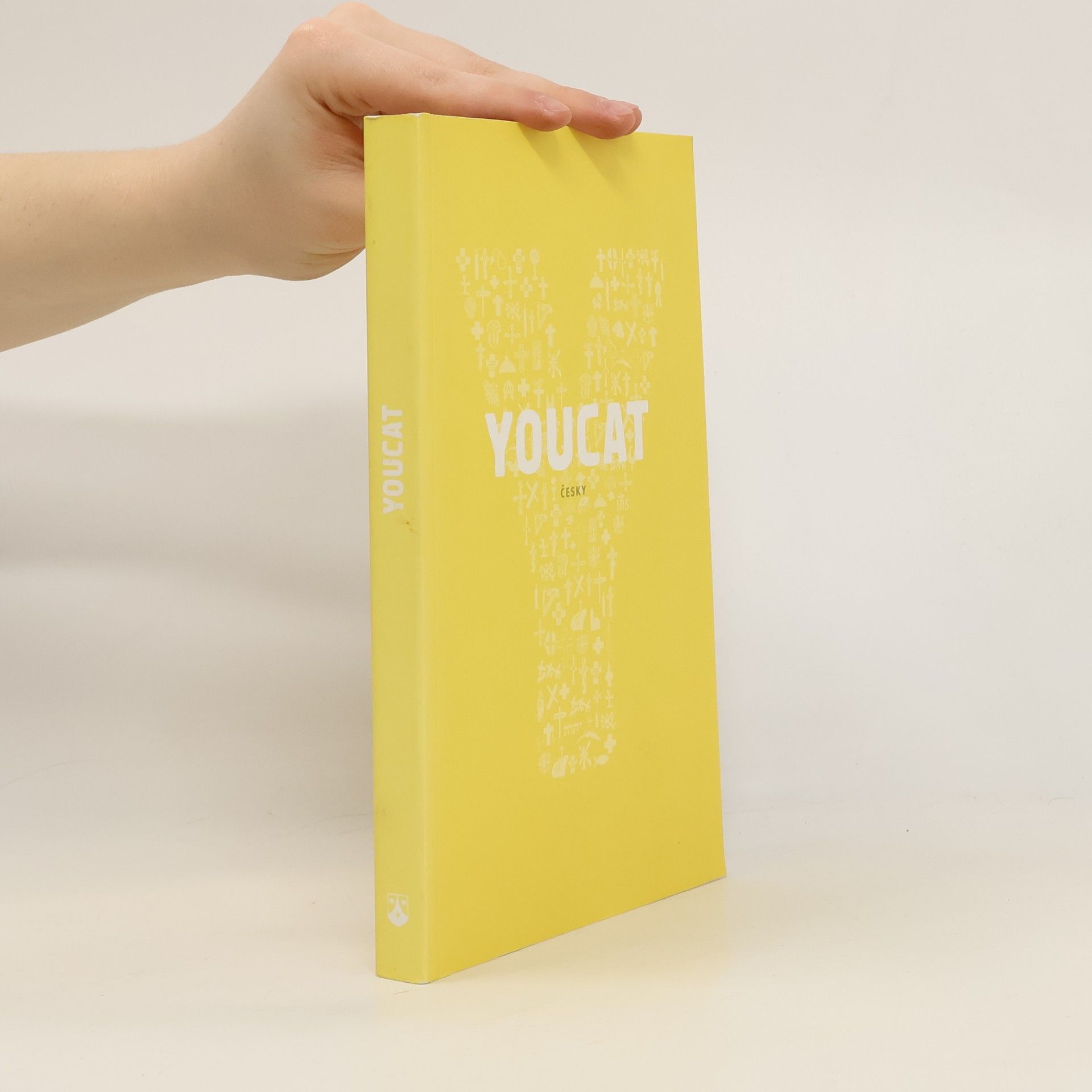 AA.VV. Youcat: katechismus katolické církve pro mladé