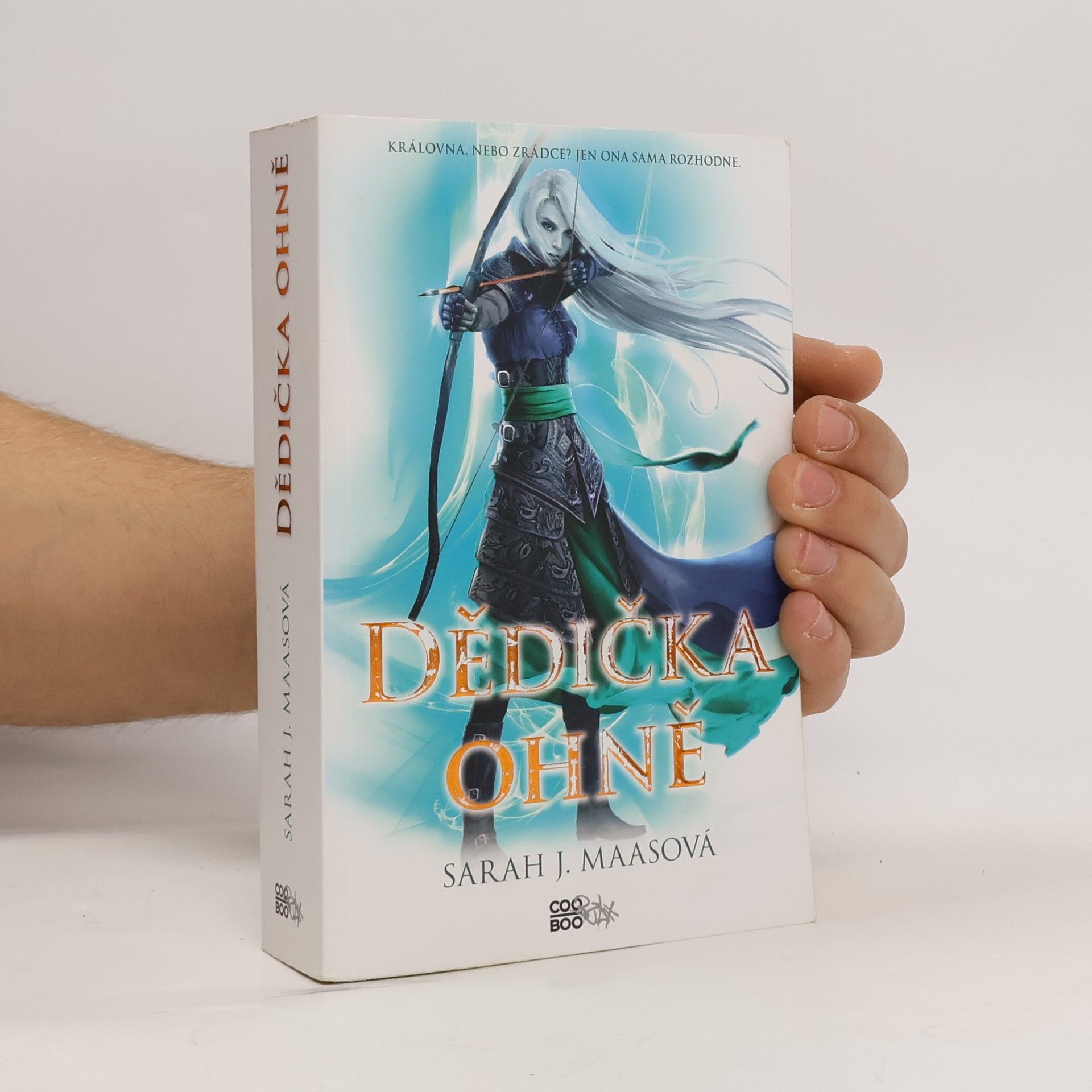 Sarah J. Maas Dědička ohně