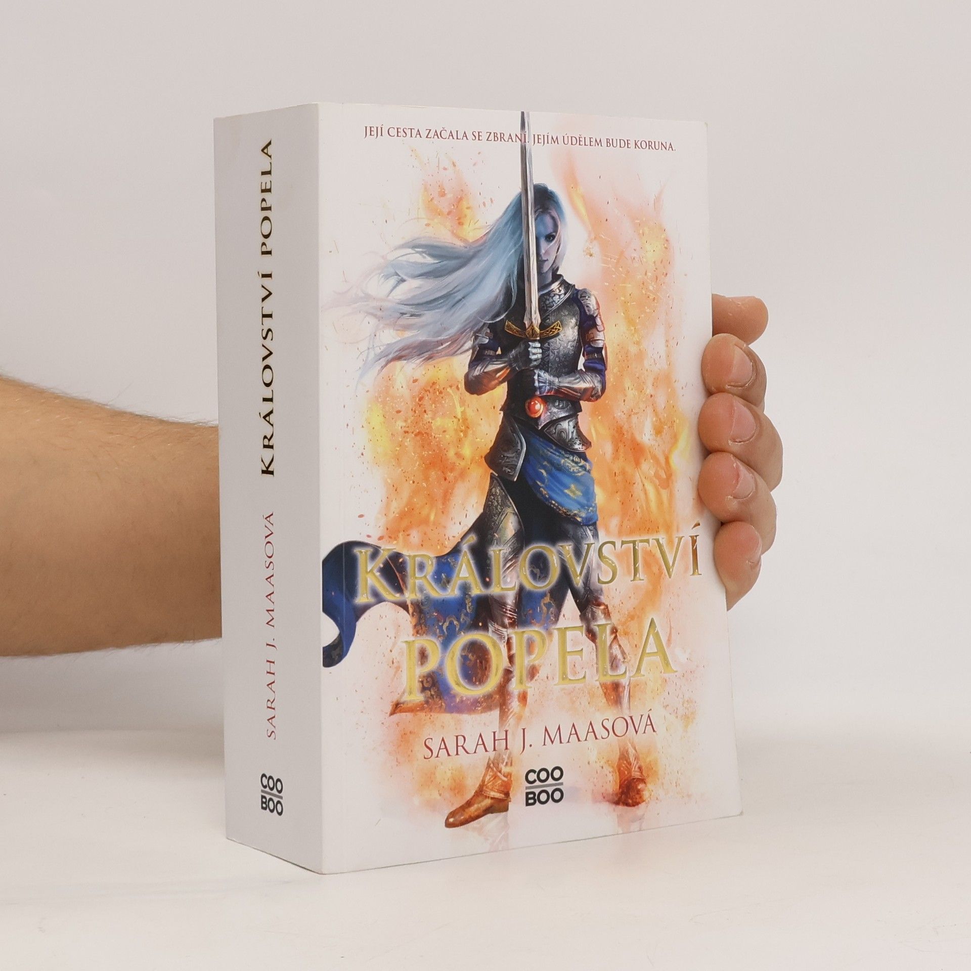 Sarah J. Maas Království popela