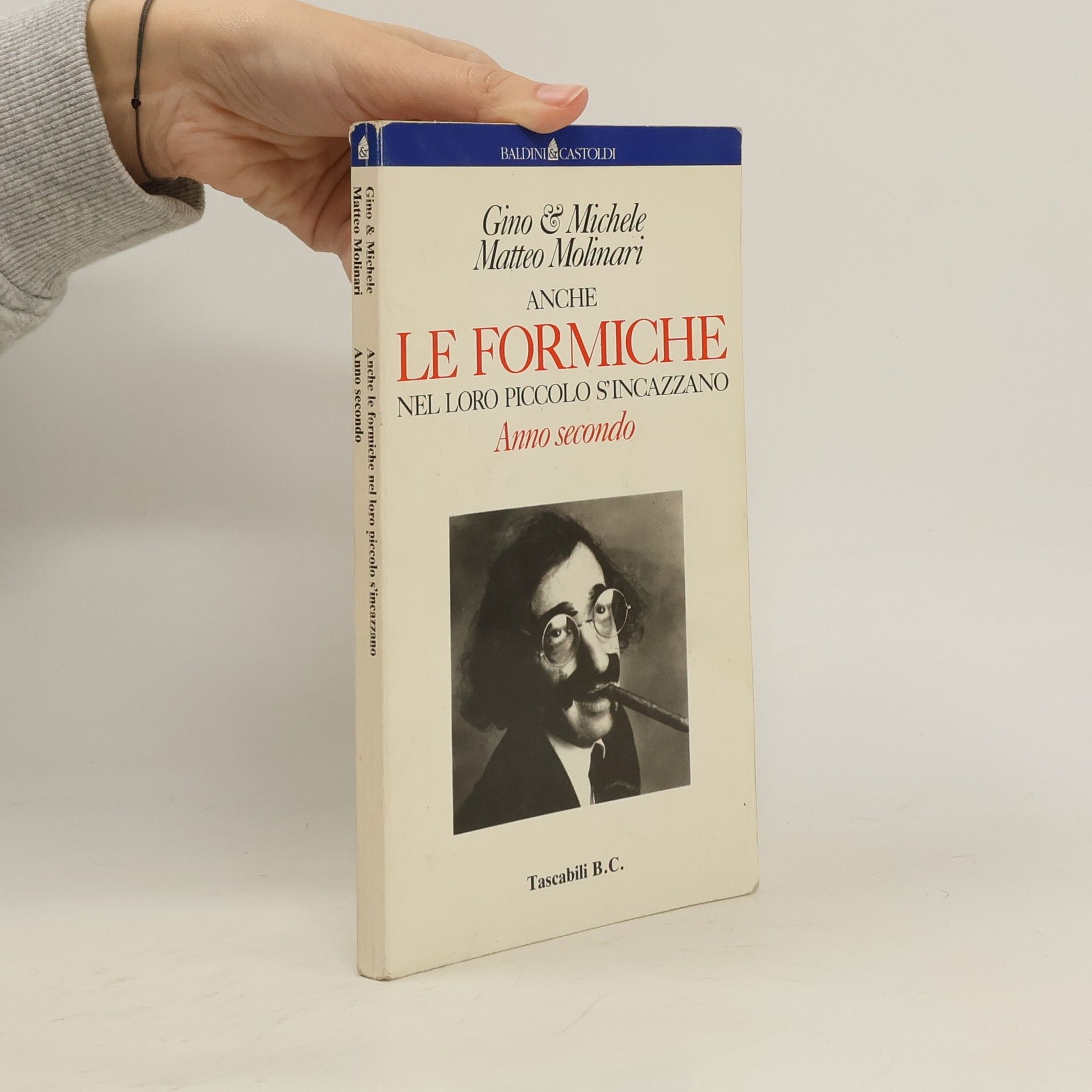 Anche le formiche nel loro piccolo s'incazzano