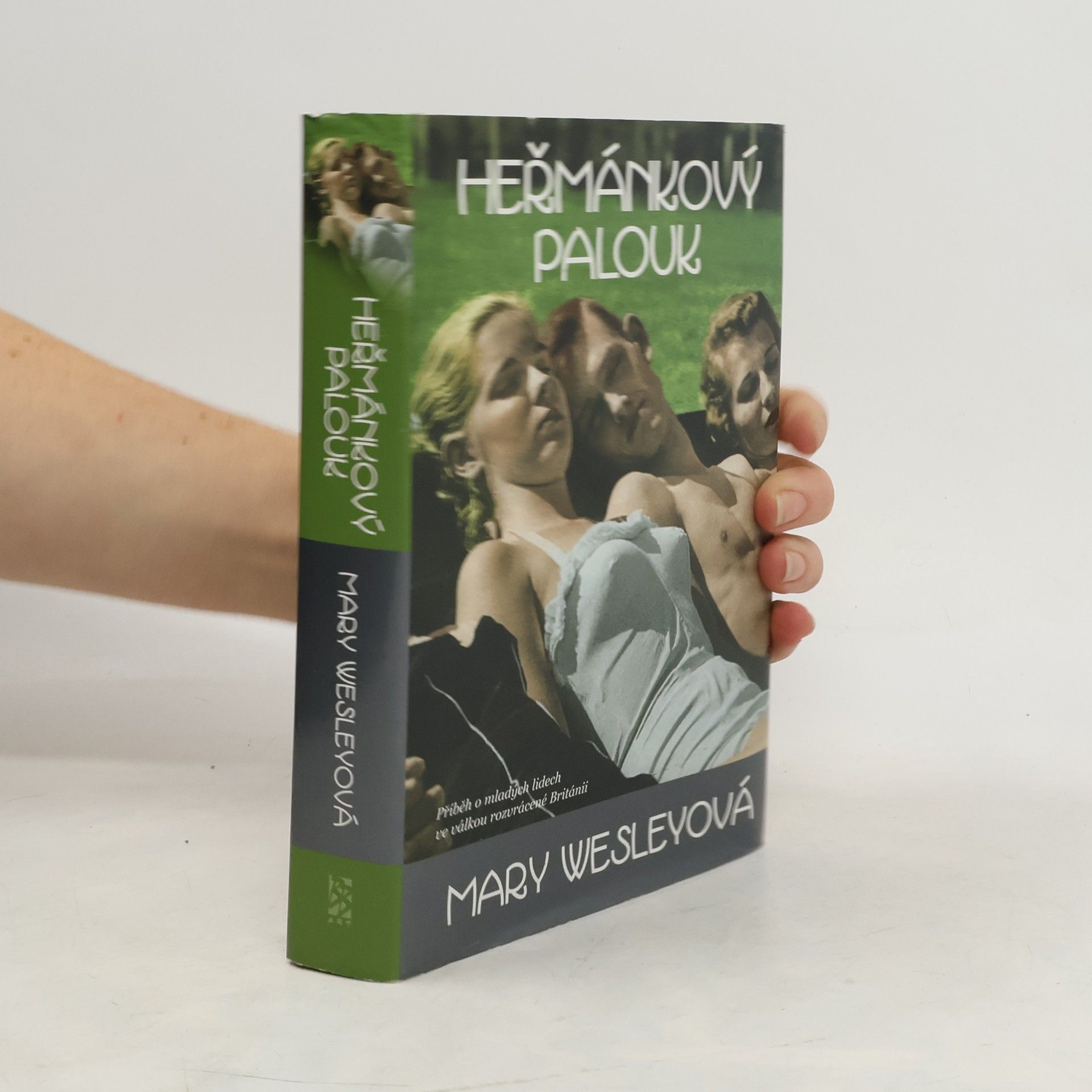 Mary Wesley Heřmánkový palouk