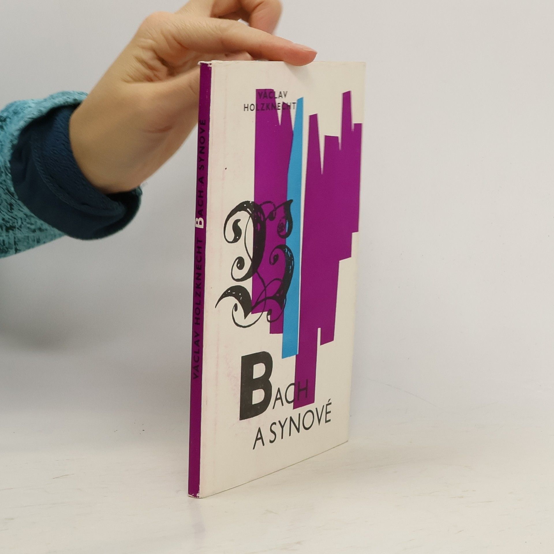 Václav Holzknecht Bach a synové