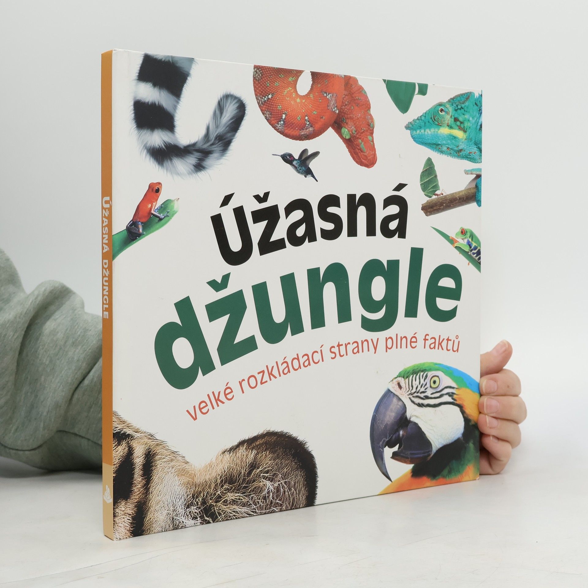 Marek Kurta Úžasná džungle : velké rozkládací strany plné faktů