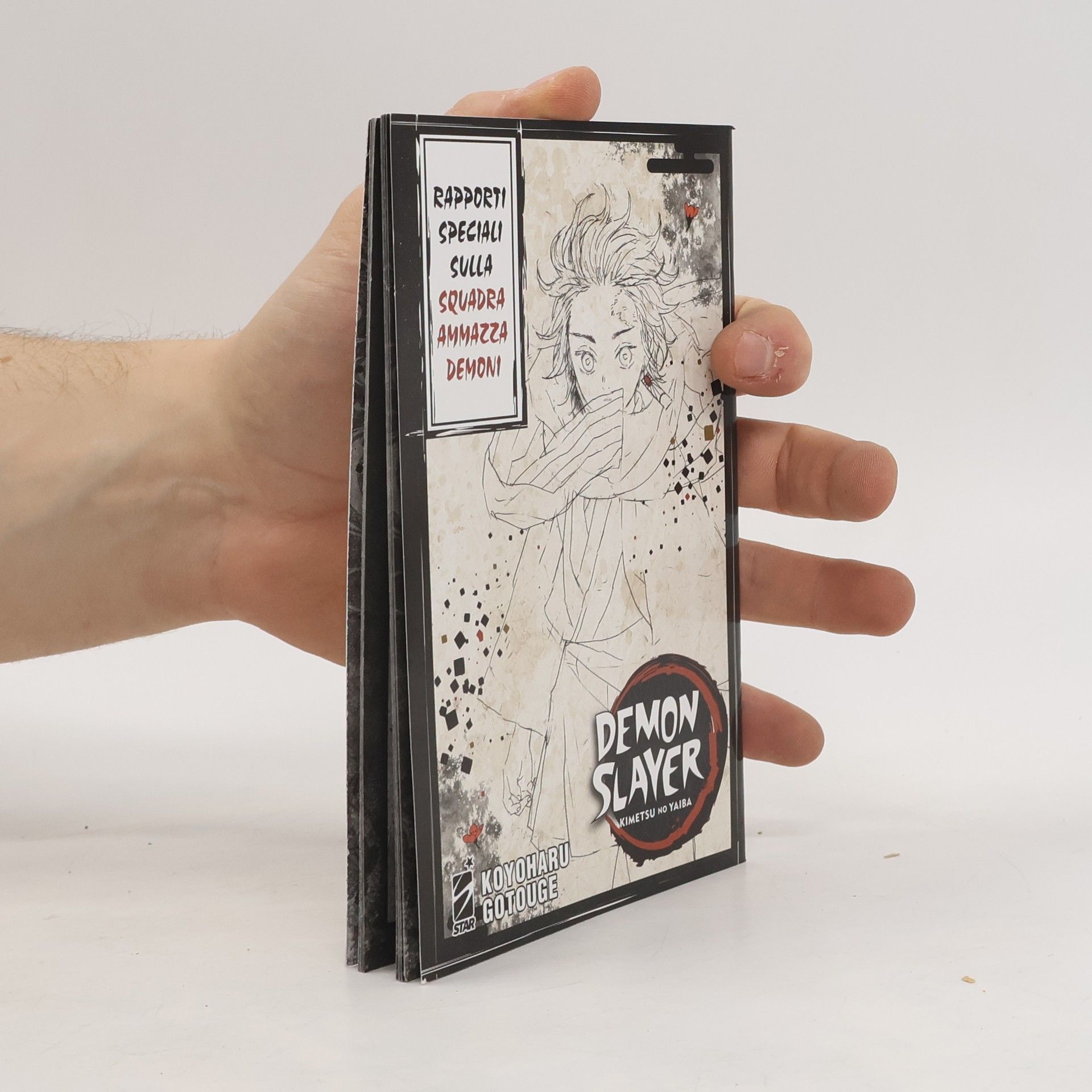Koyoharu Gotoge Demon Slayer 22