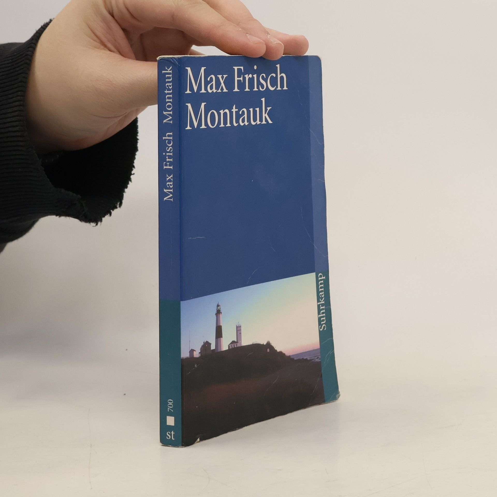 Max Frisch Montauk