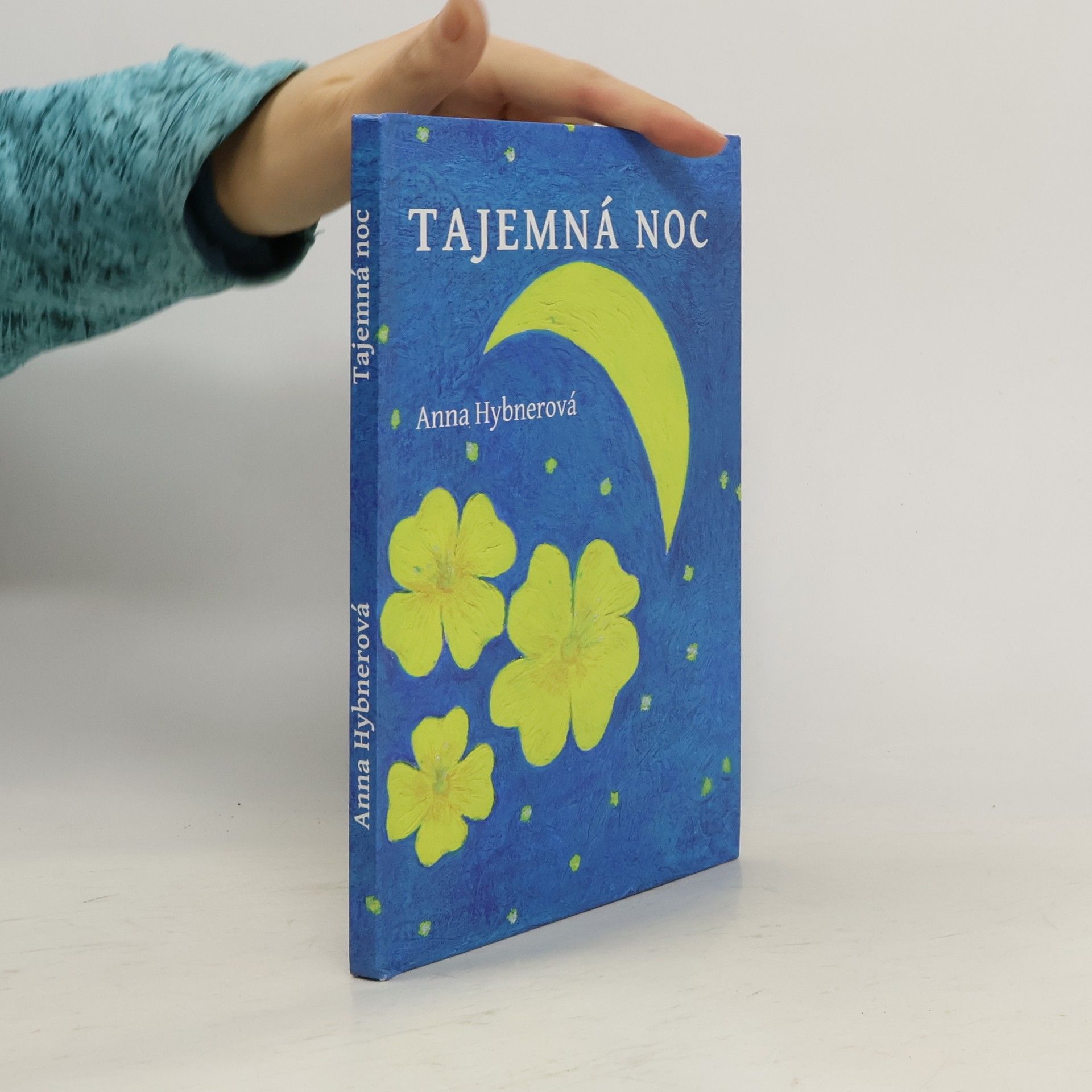 Anna Hybnerová Tajemná noc