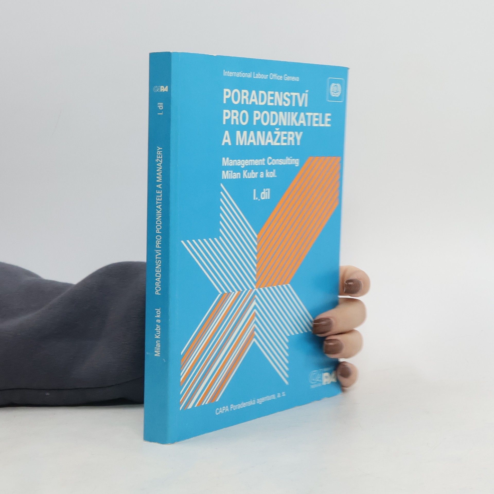 Poradenství pro podnikatele a manažery, Díl I.