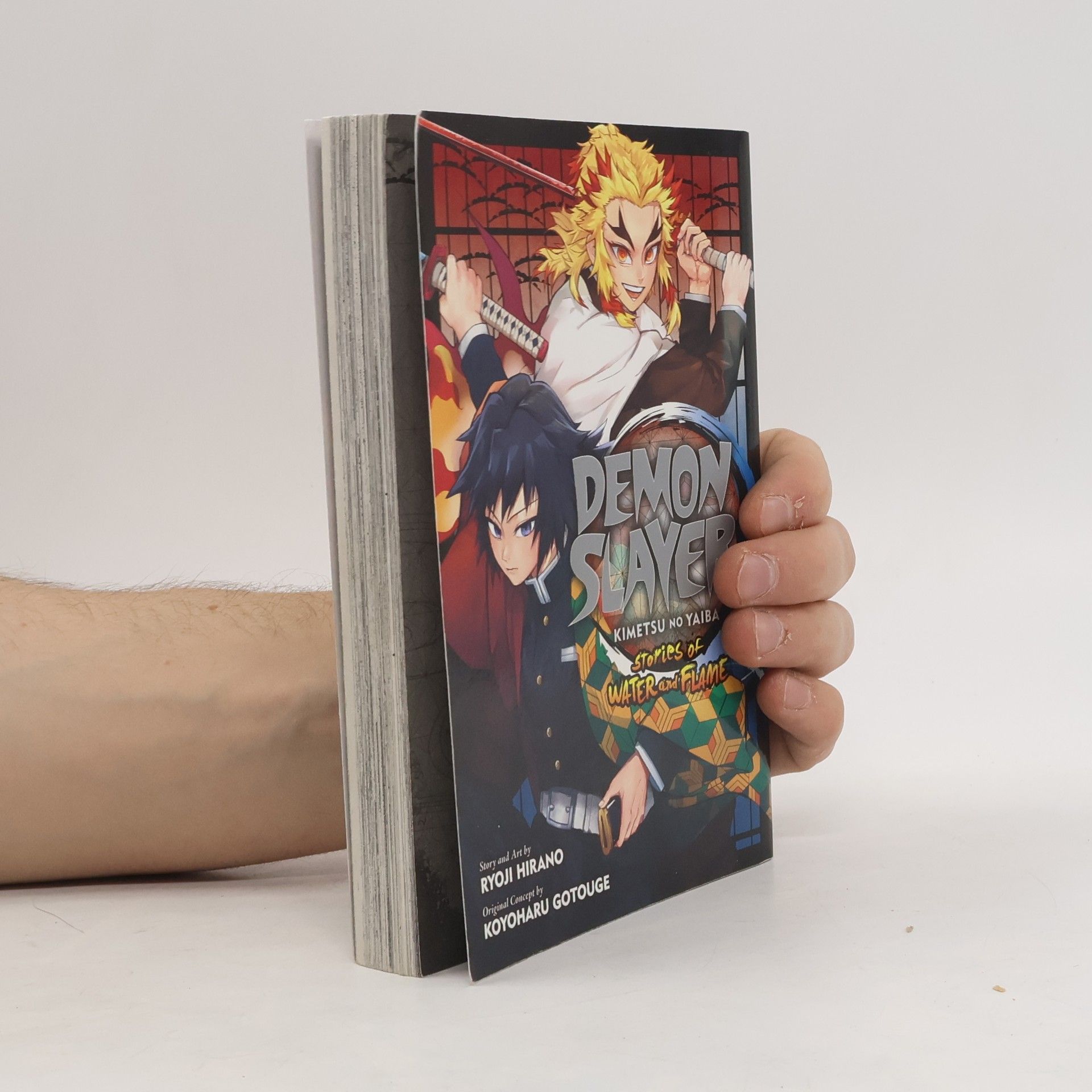 Ryoji Hirano Demon Slayer: Kimetsu no Yaiba--Stories of Water and Flame