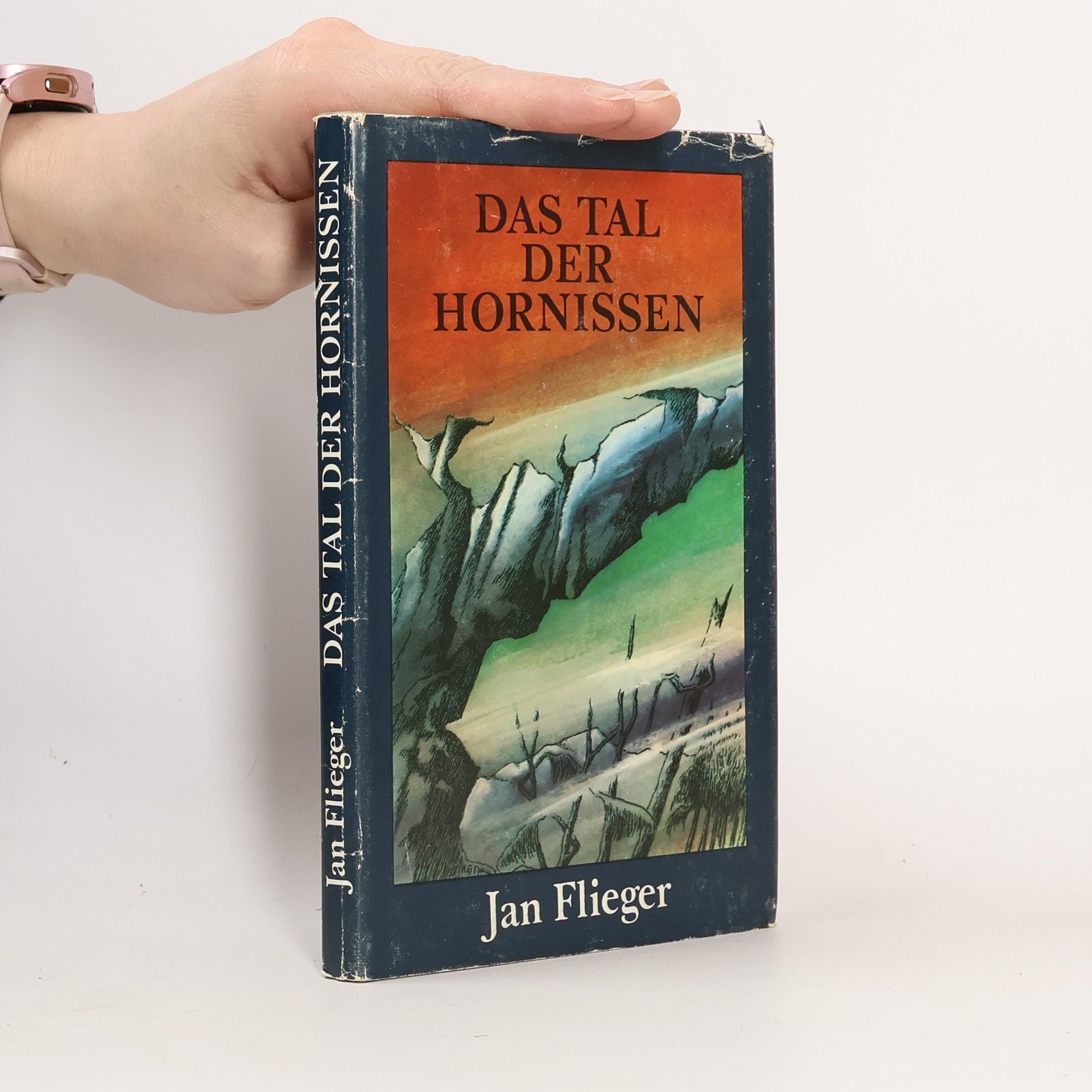 Jan Flieger Das Tal der Hornissen