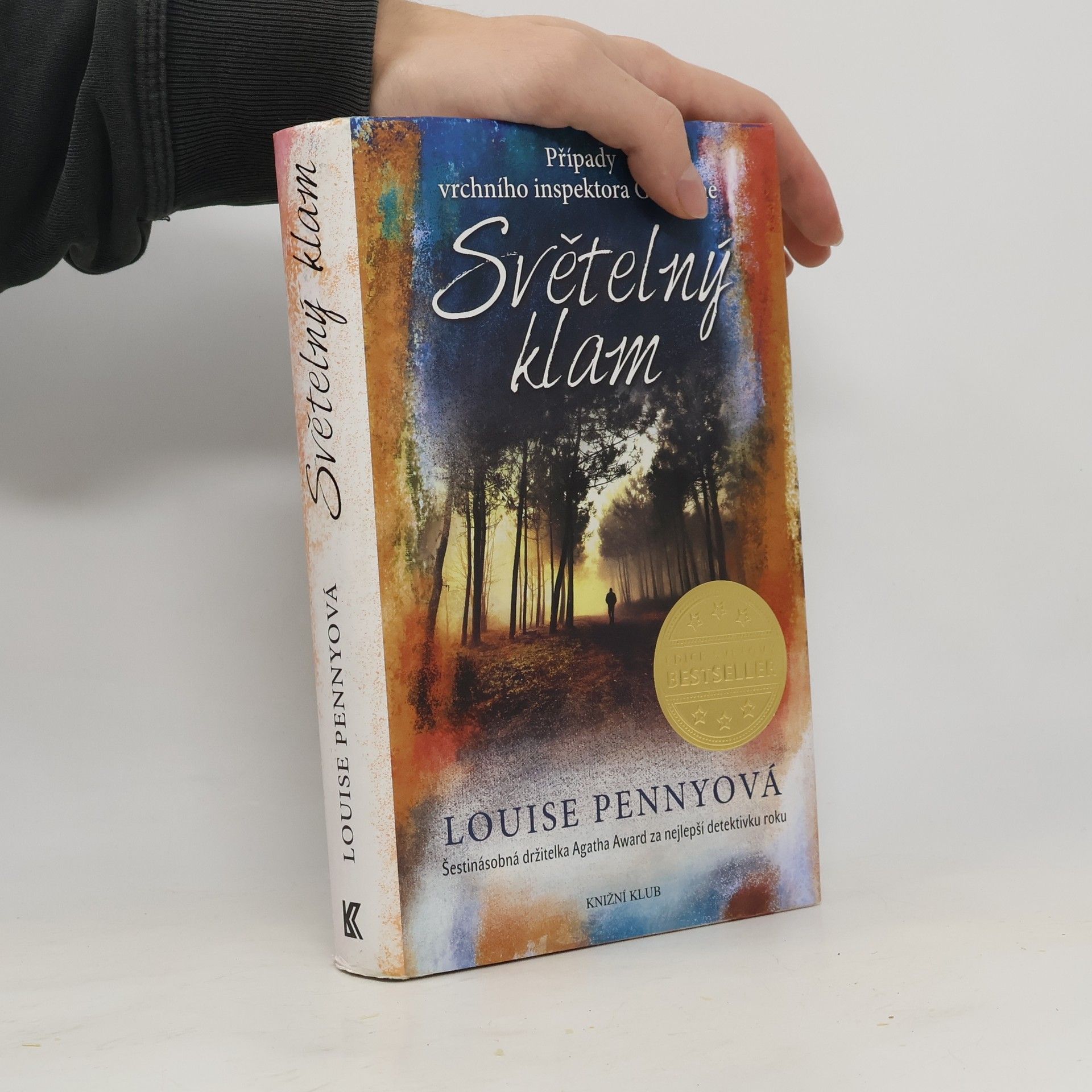Louise Penny Světelný klam
