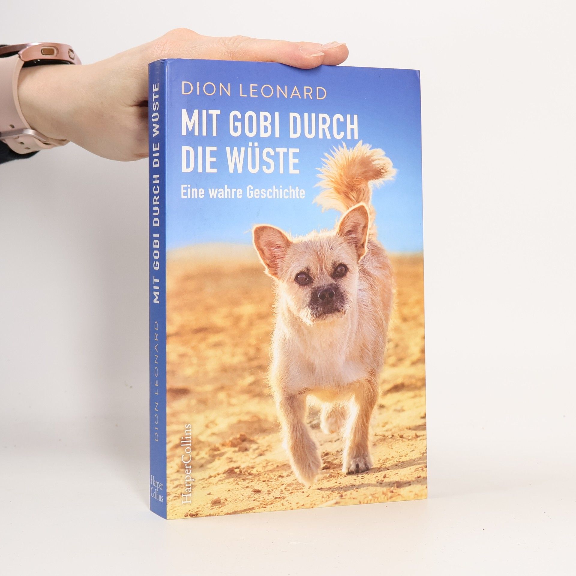 Dion Leonard Mit Gobi durch die Wüste