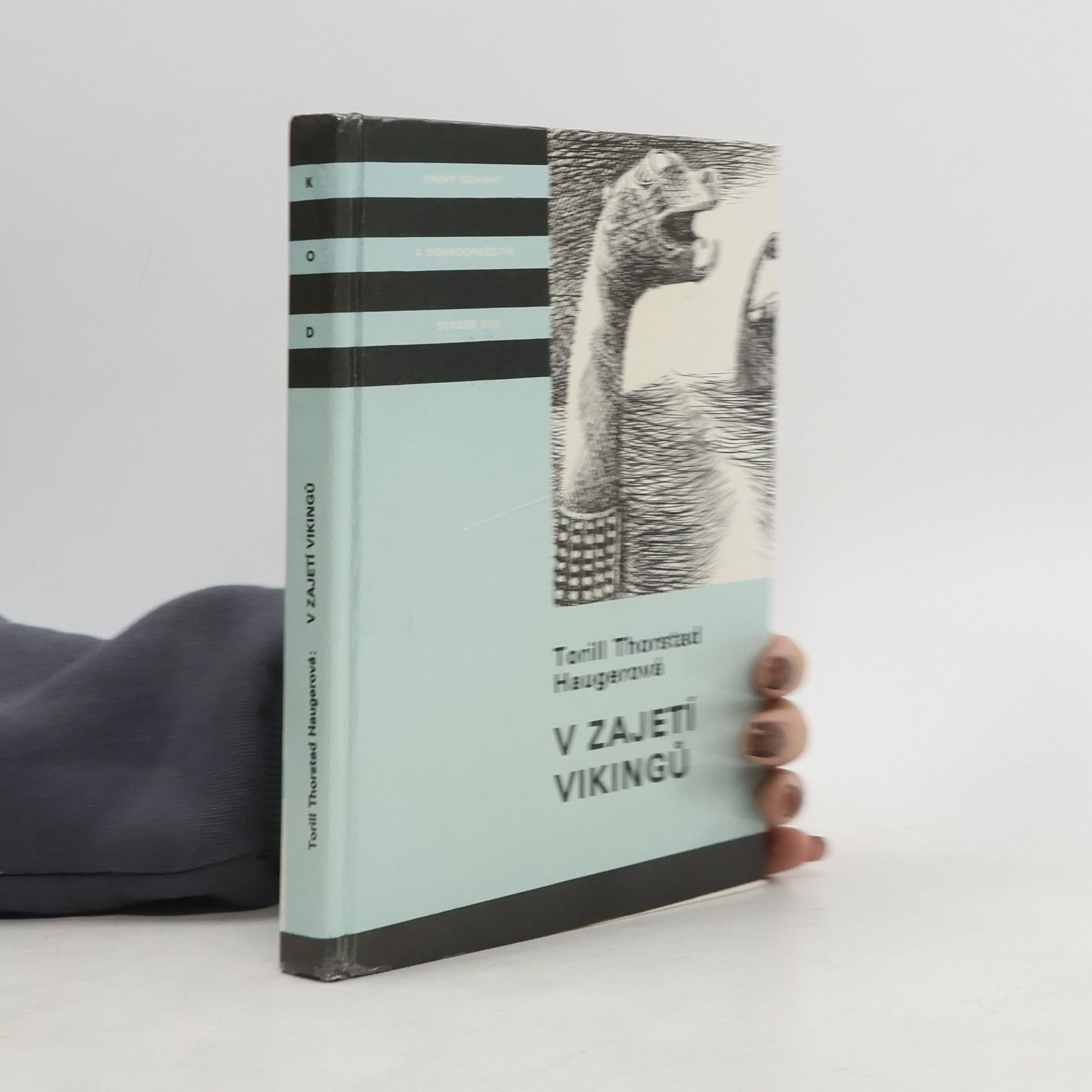 Torill Thorstad Hauger V zajetí vikingů