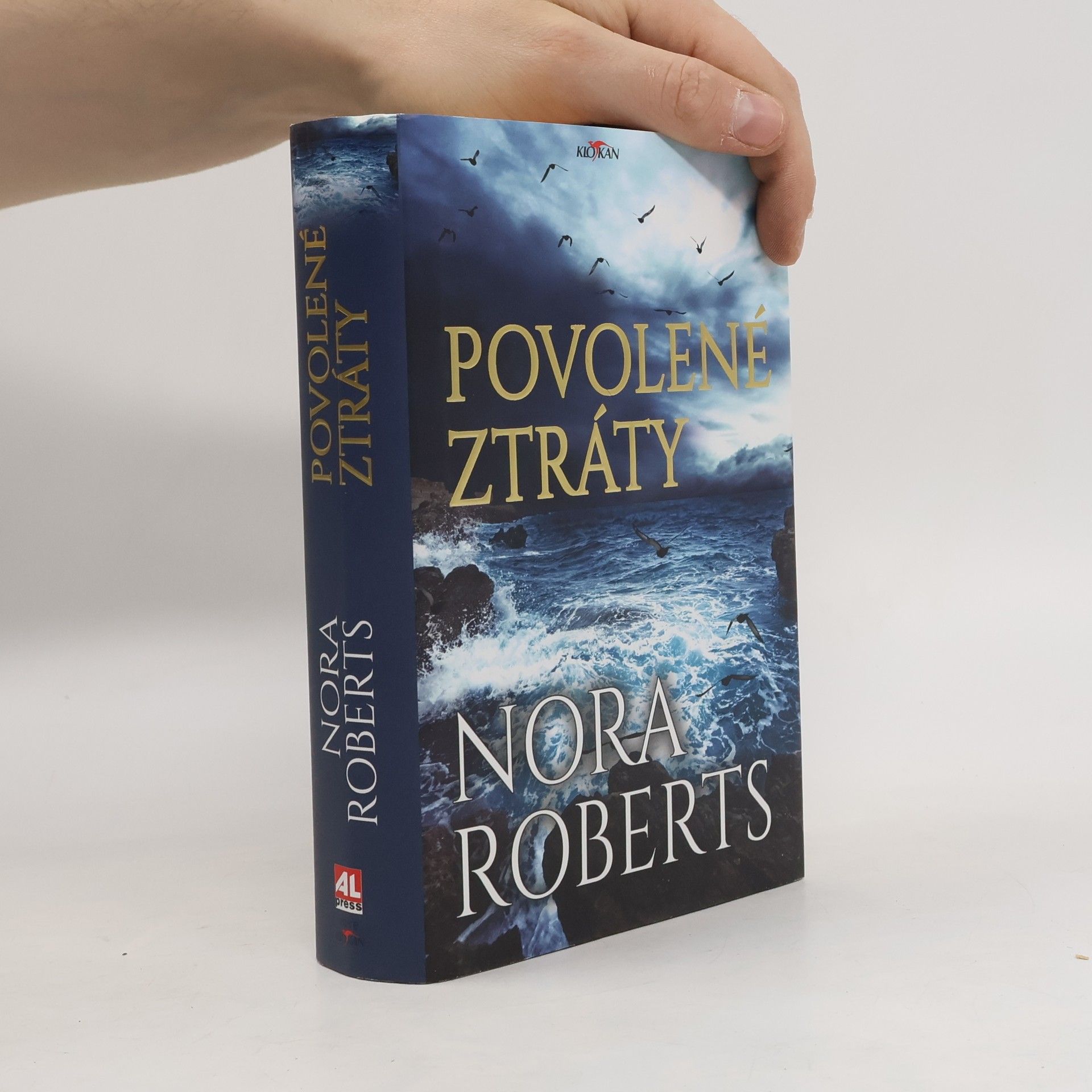 Nora Roberts Povolené ztráty