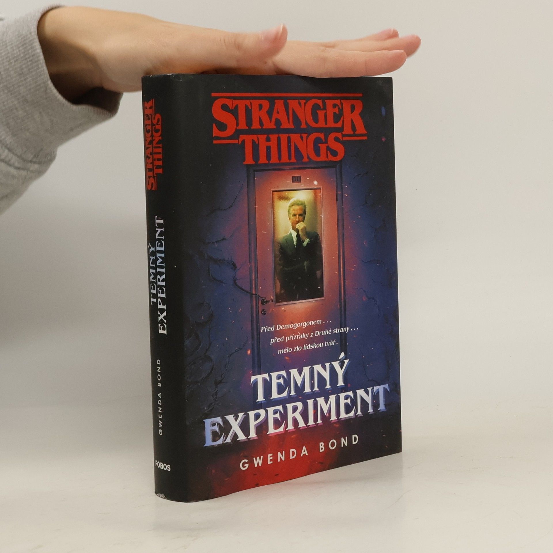 Stranger Things. Temný experiment