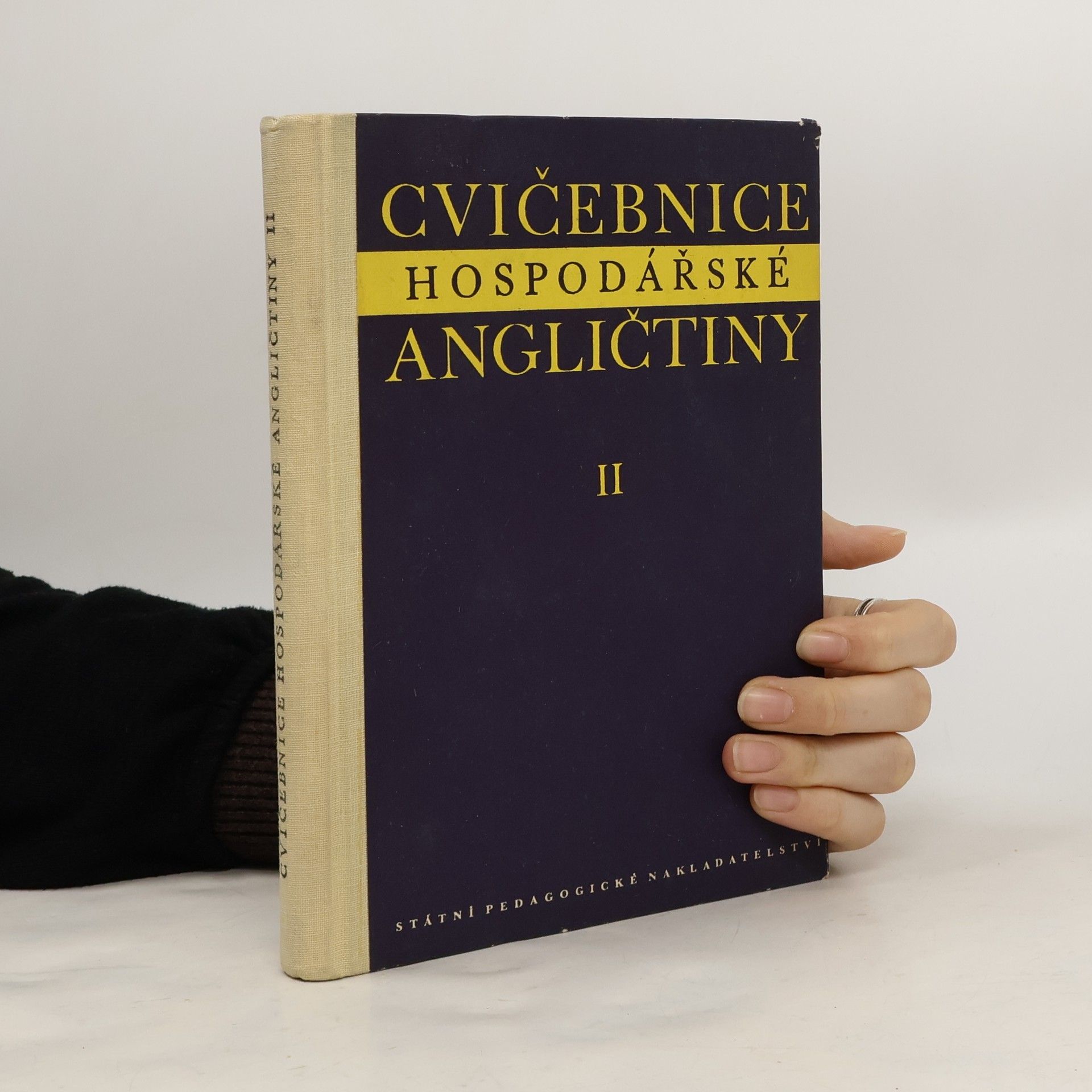 Autorenkollektiv Cvičebnice hospodářské angličtiny II