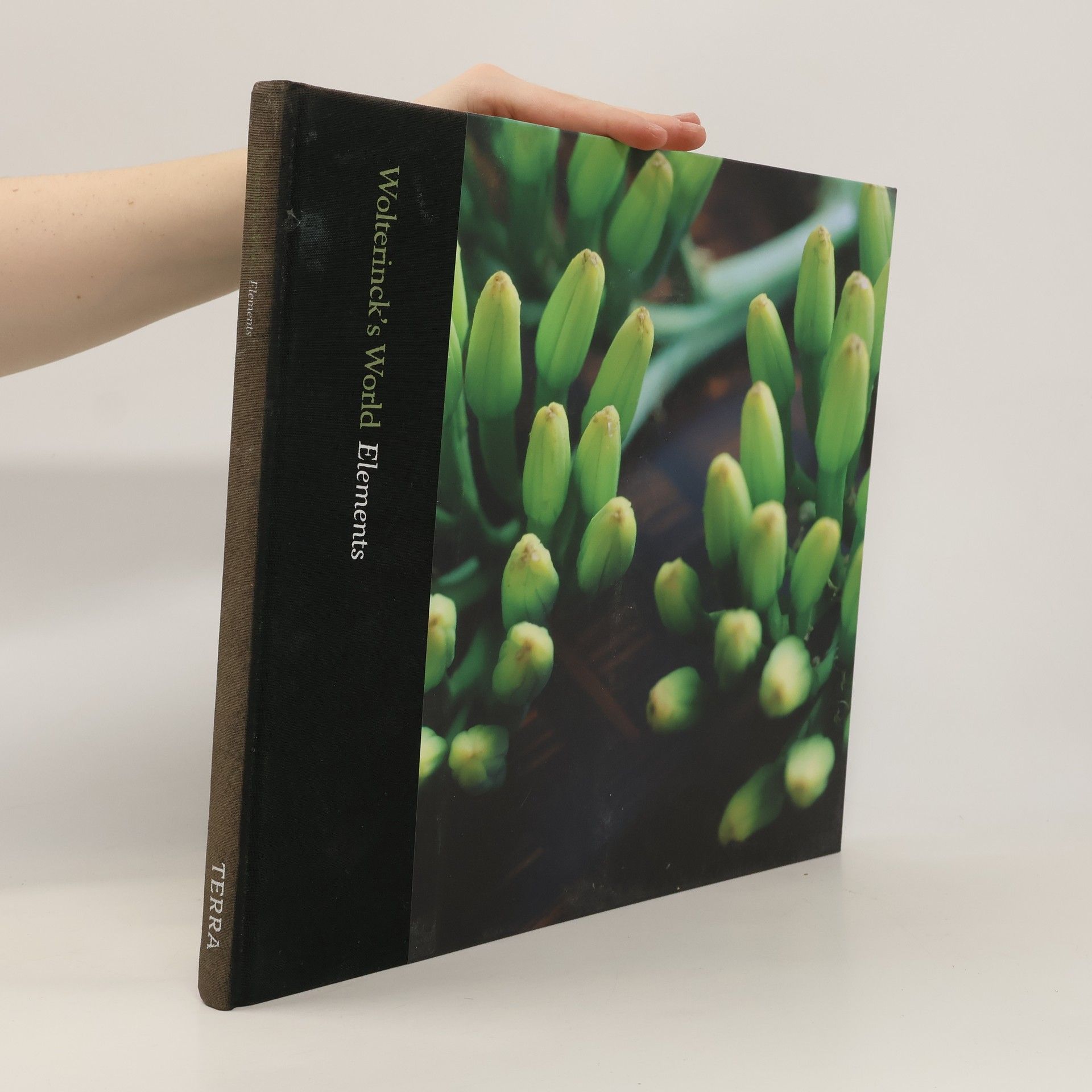 Various authors Wolterinck's world. Elements