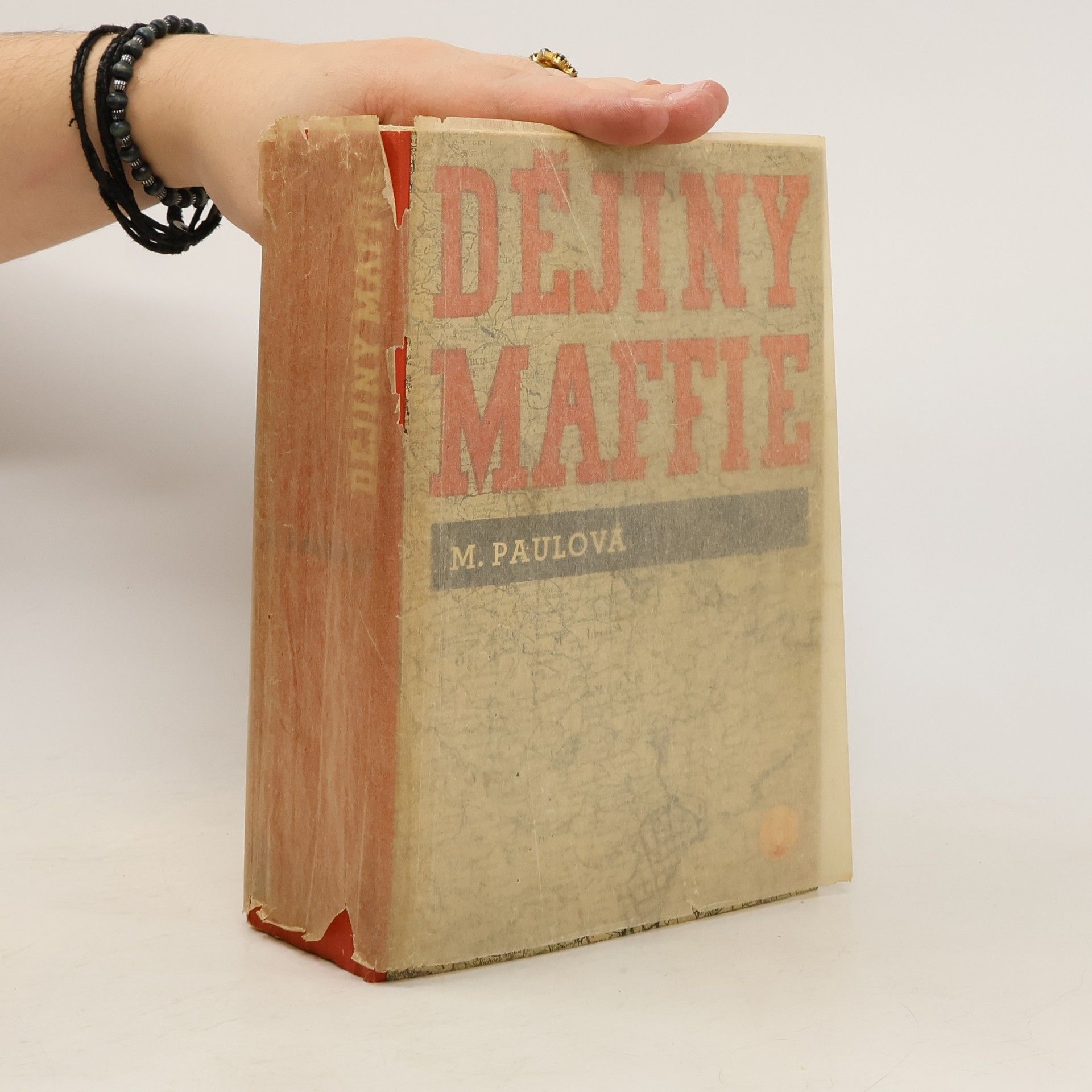 Milada Paulová Dějiny Maffie I