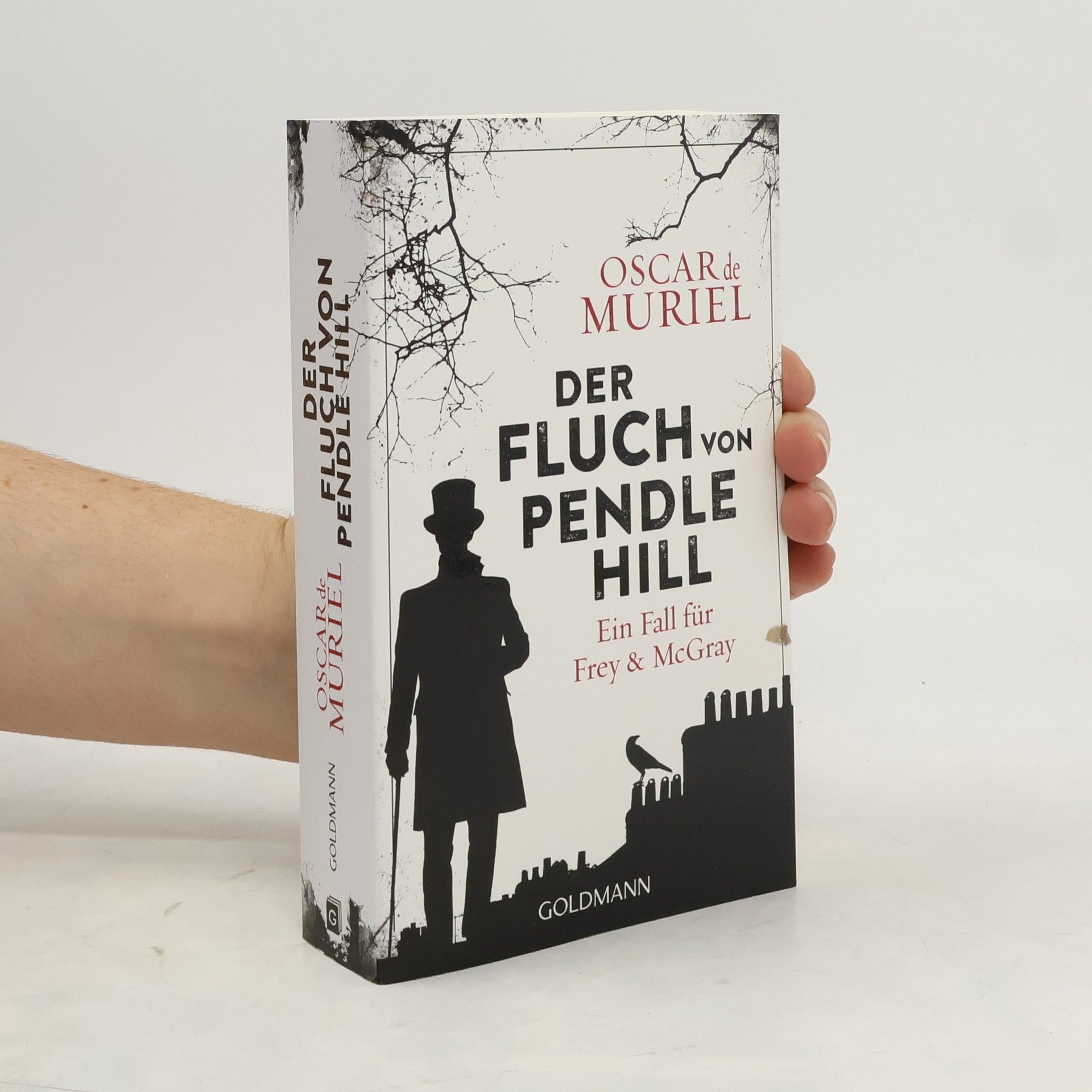 Oscar de Muriel Der Fluch von Pendle Hill