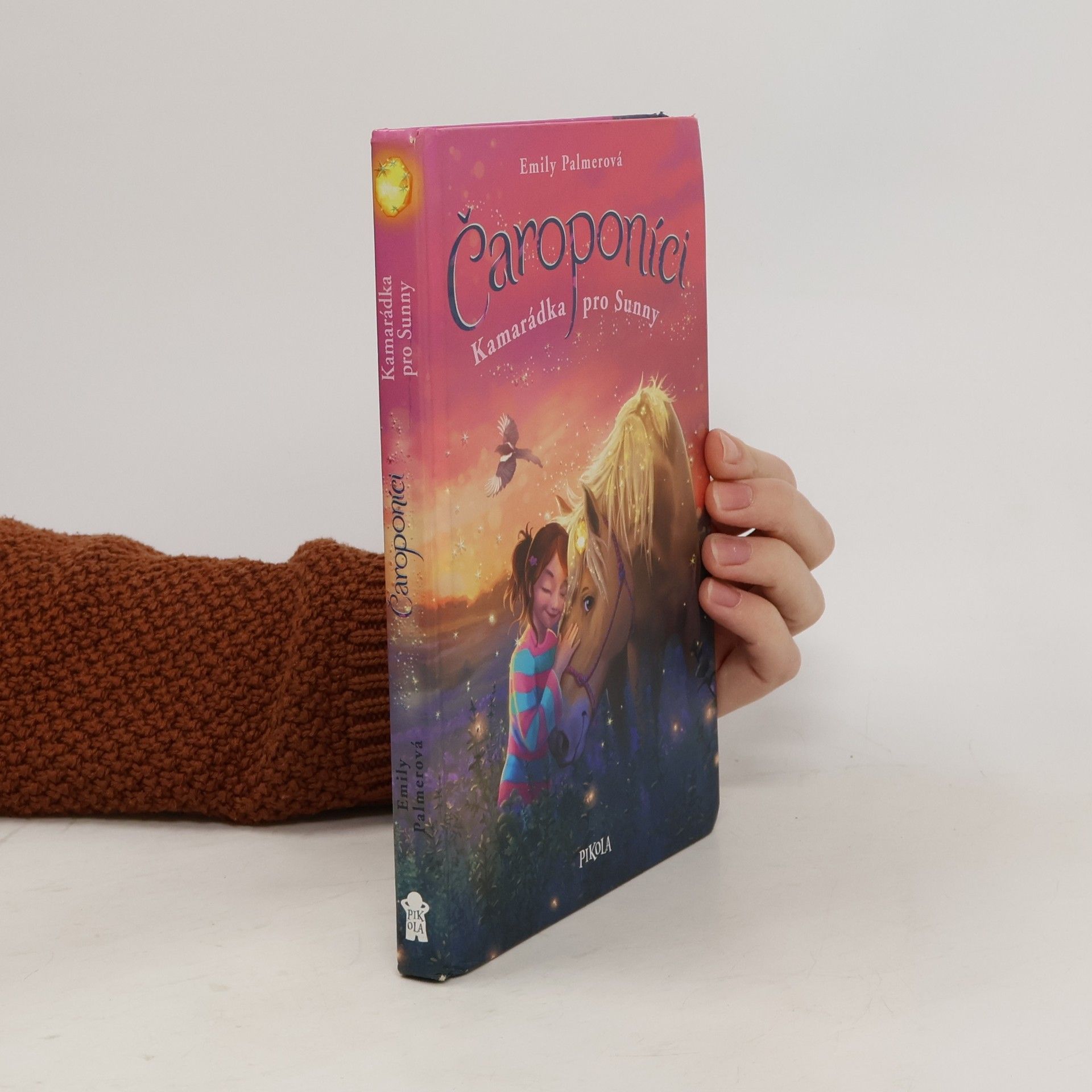 Anne Scheller Čaroponíci. Kamarádka pro Sunny