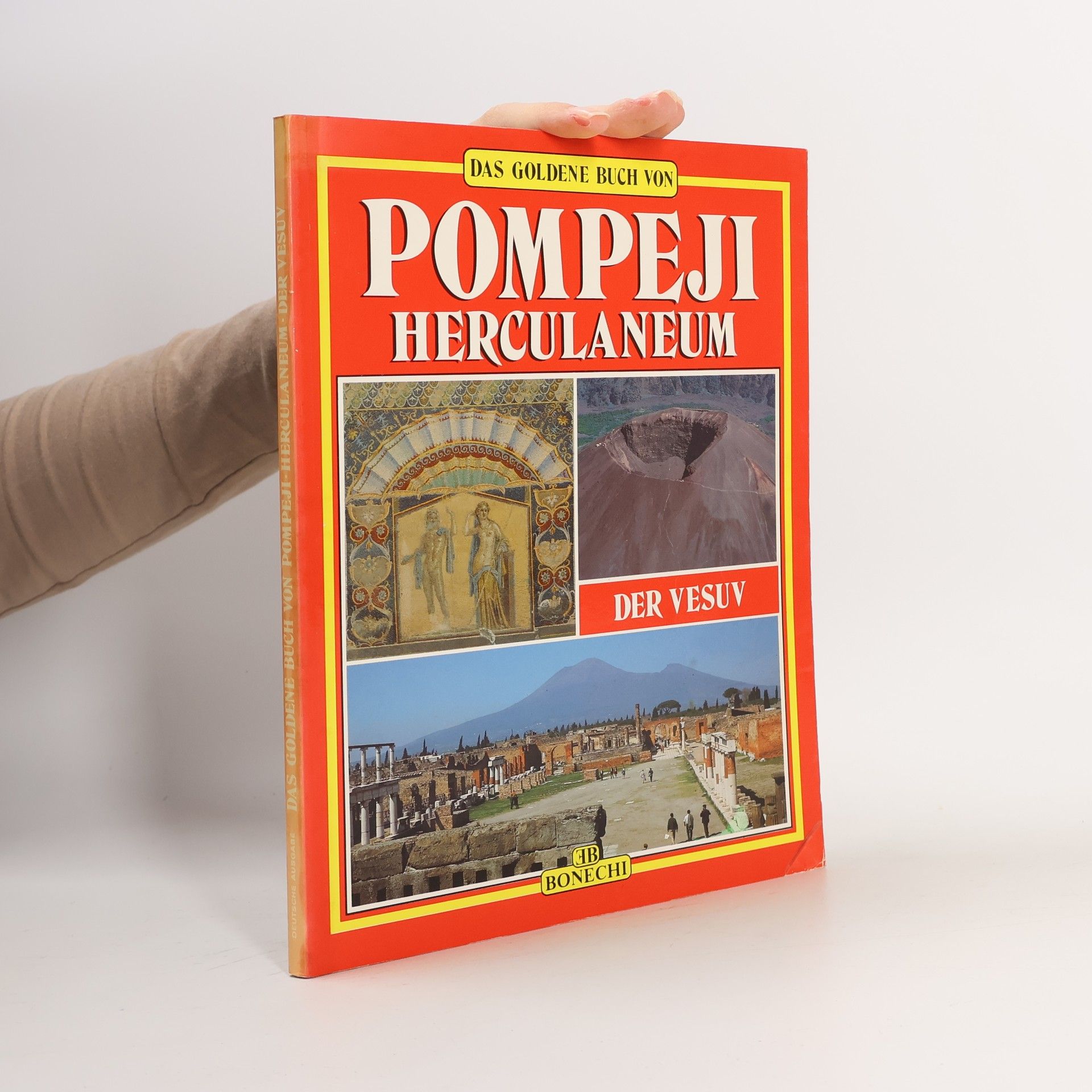 Pompeji, Herculaneum, der Vesuv