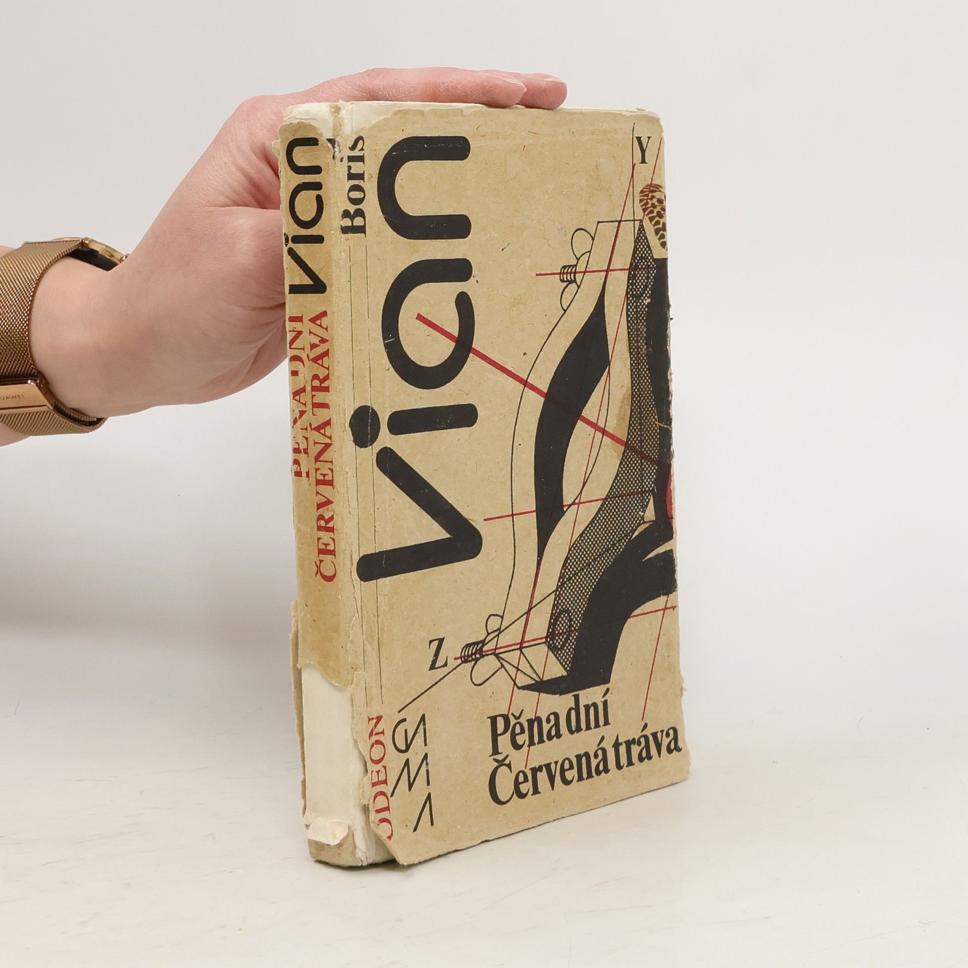 Boris Vian Pěna dní. Červená tráva