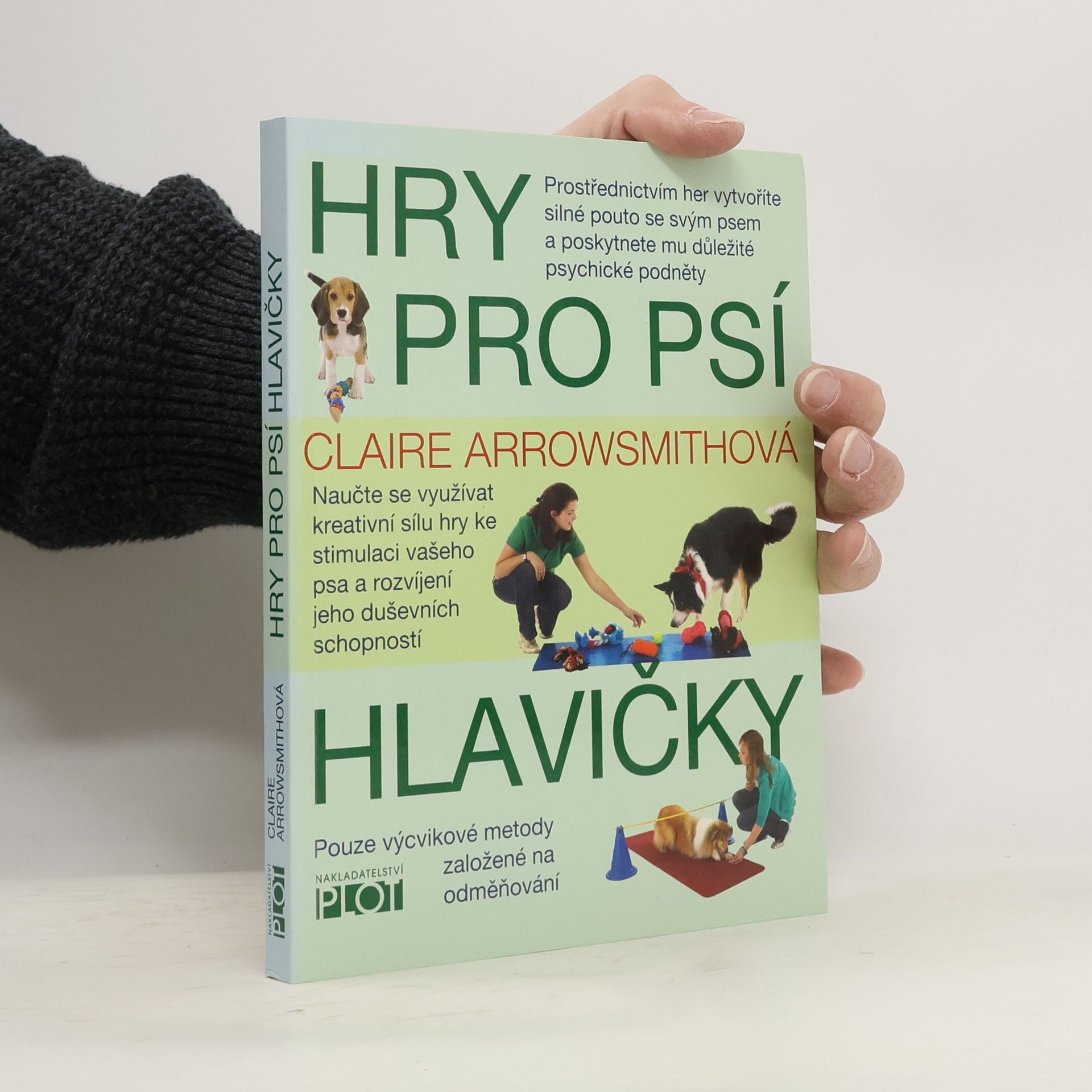 Claire Arrowsmith Hry pro psí hlavičky