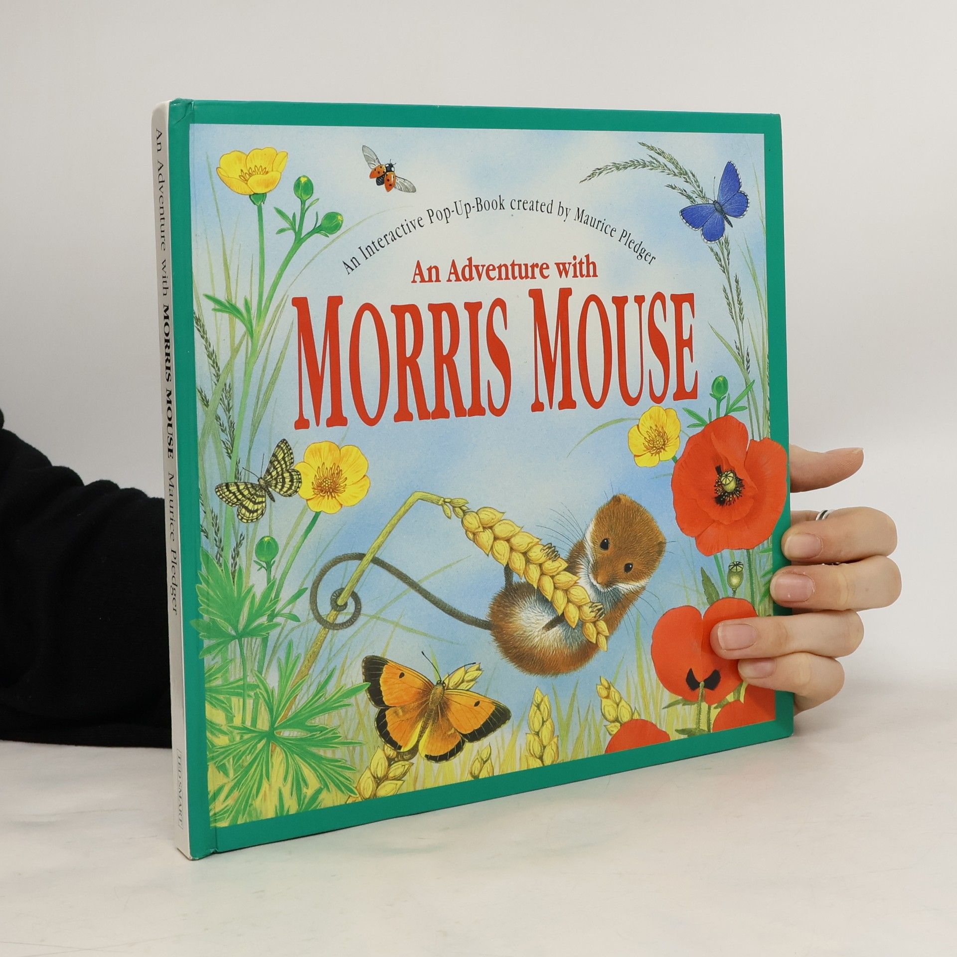 Maurice Pledger Adventure With Morris Mouse