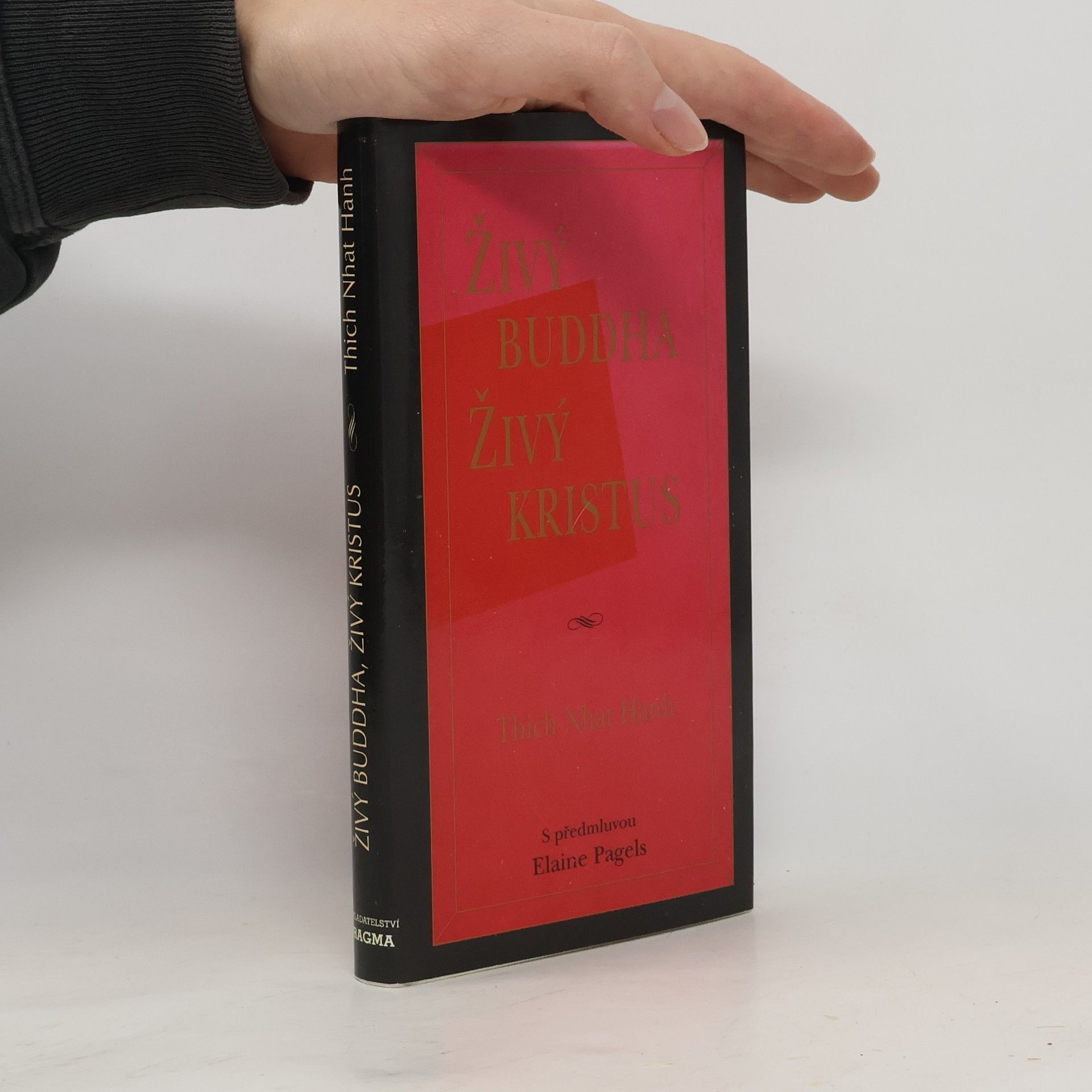 Thich Nhat Hanh Živý buddha, živý Kristus