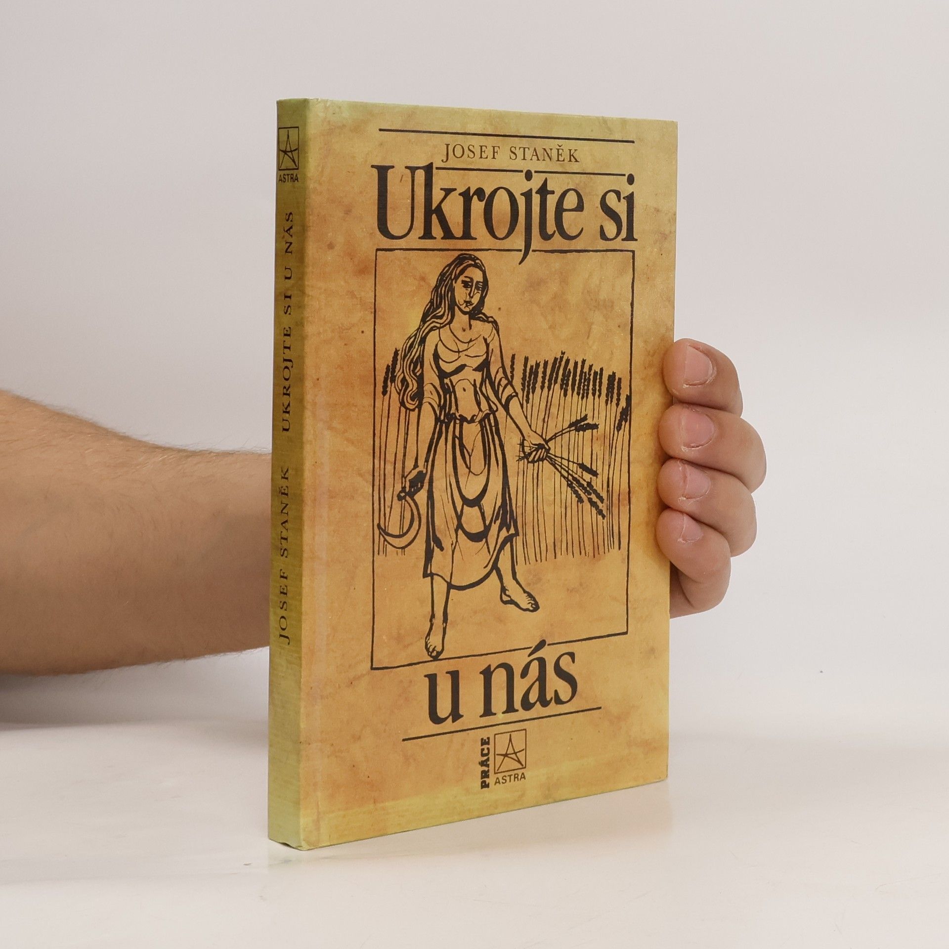 Josef Staněk Ukrojte si u nás. Kapitoly z dějin chleba