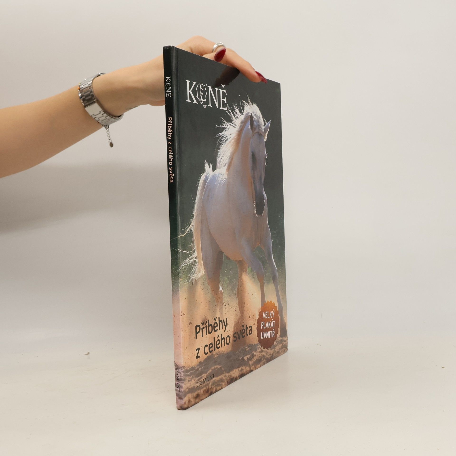 Kolektiv autorů Koně: příběhy z celého světa