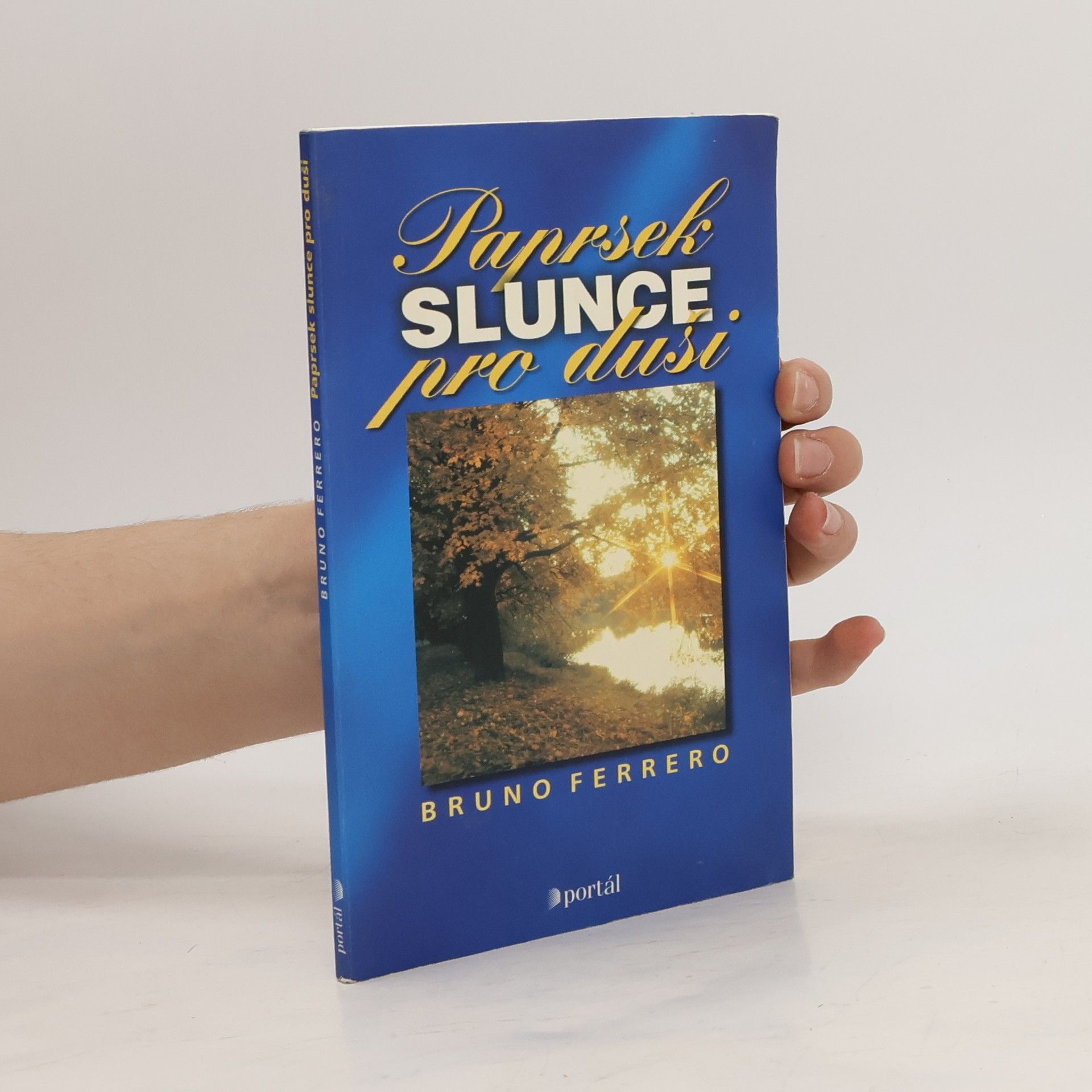 Bruno Ferrero Paprsek slunce pro duši