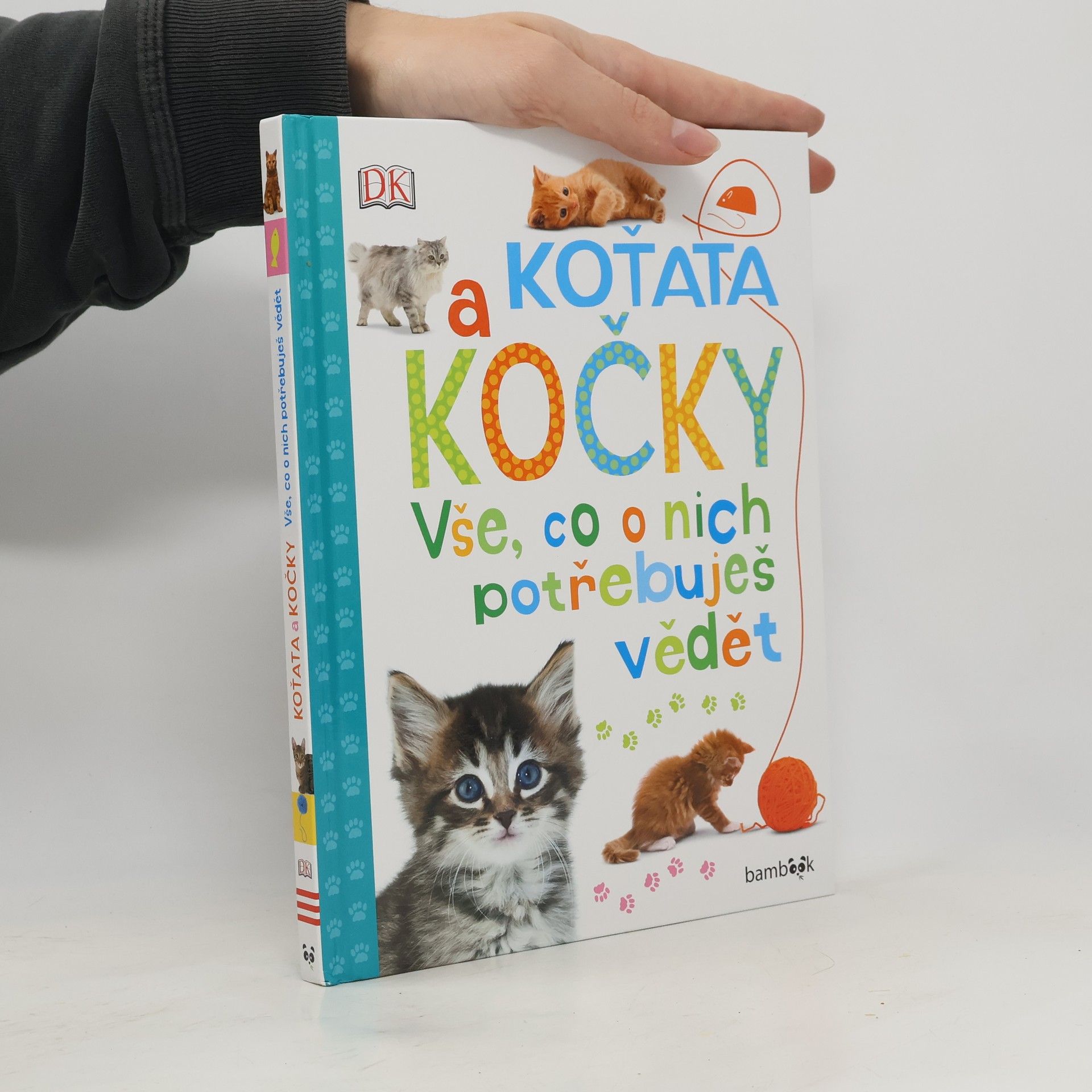 Andrea Mills Koťata a kočky – Vše, co o nich potřebuješ vědět