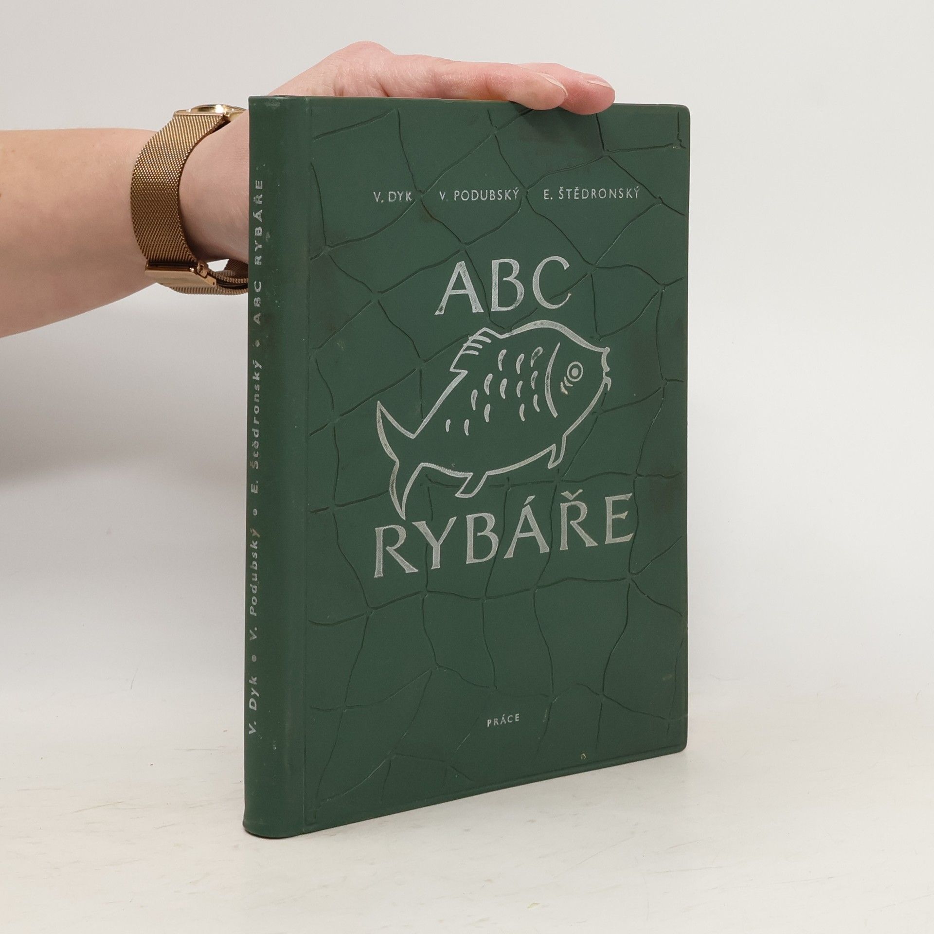 Kolektiv autorů ABC rybáře