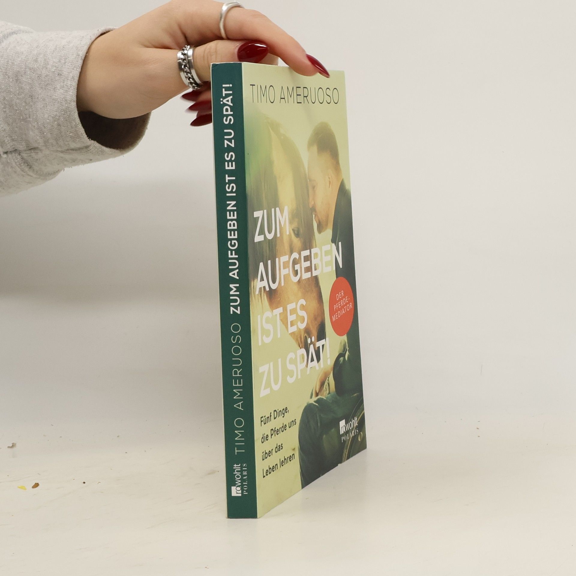 Timo Ameruoso Zum Aufgeben ist es zu spät!