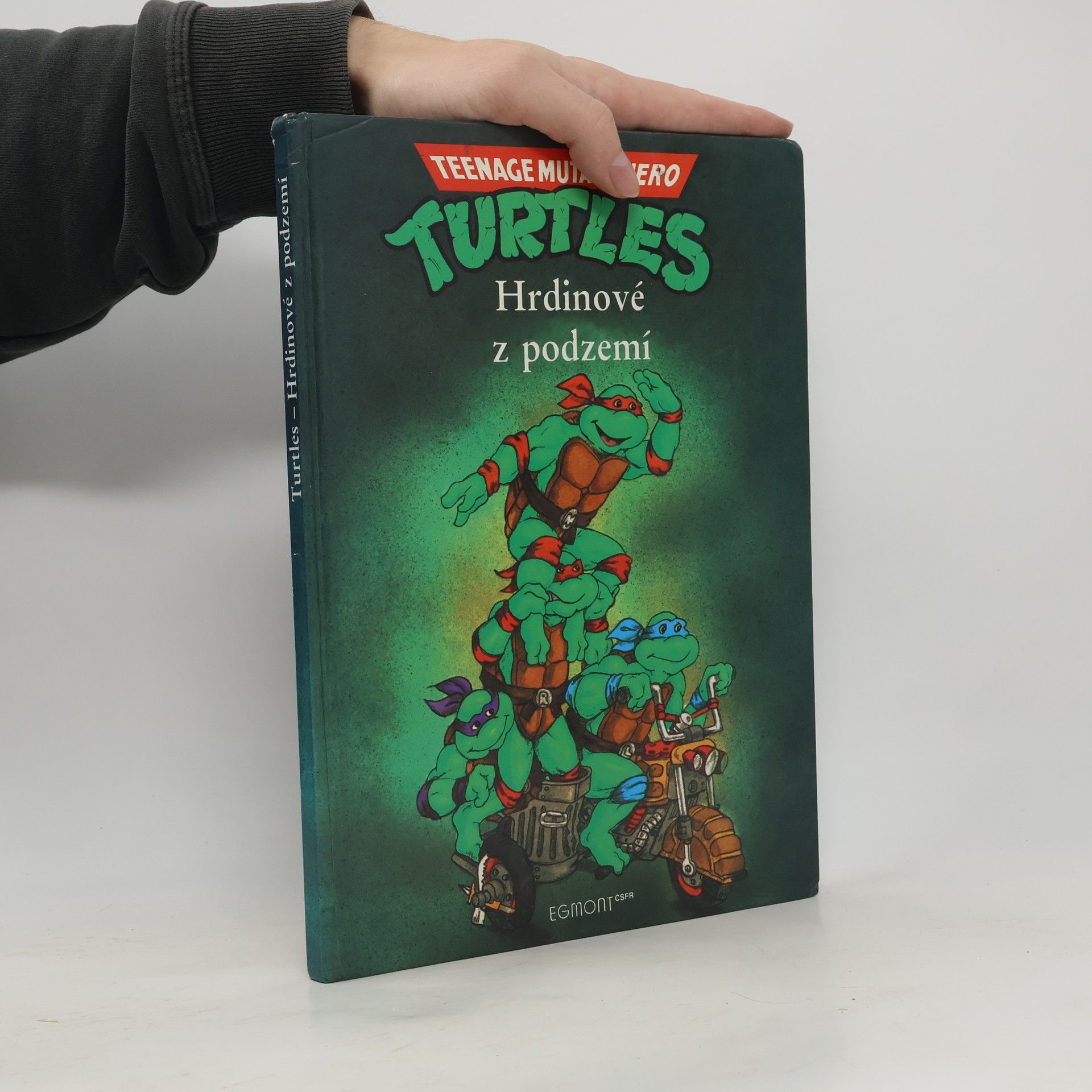 Teenage Mutant Ninja Turtles. Hrdinové z podzemí