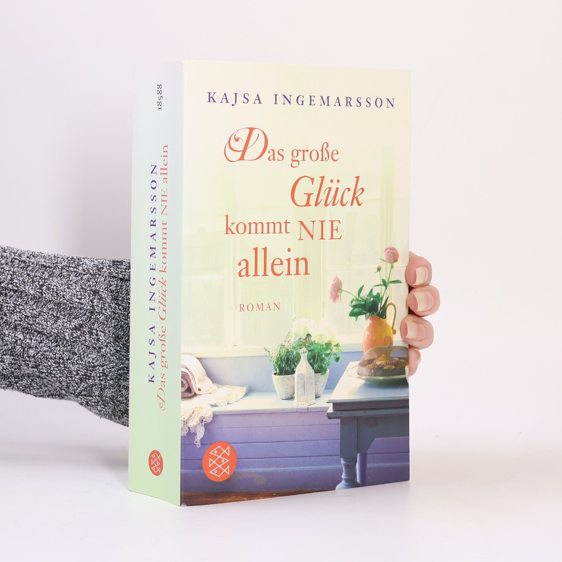 Kajsa Ingemarsson Das grose Glück kommt nie allein