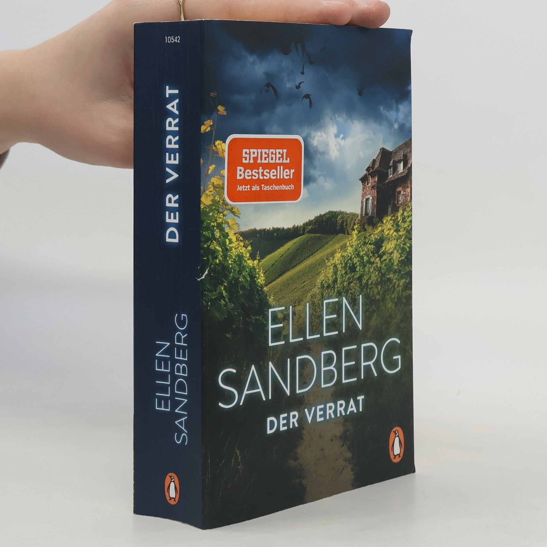 Ellen Sandberg Der Verrat