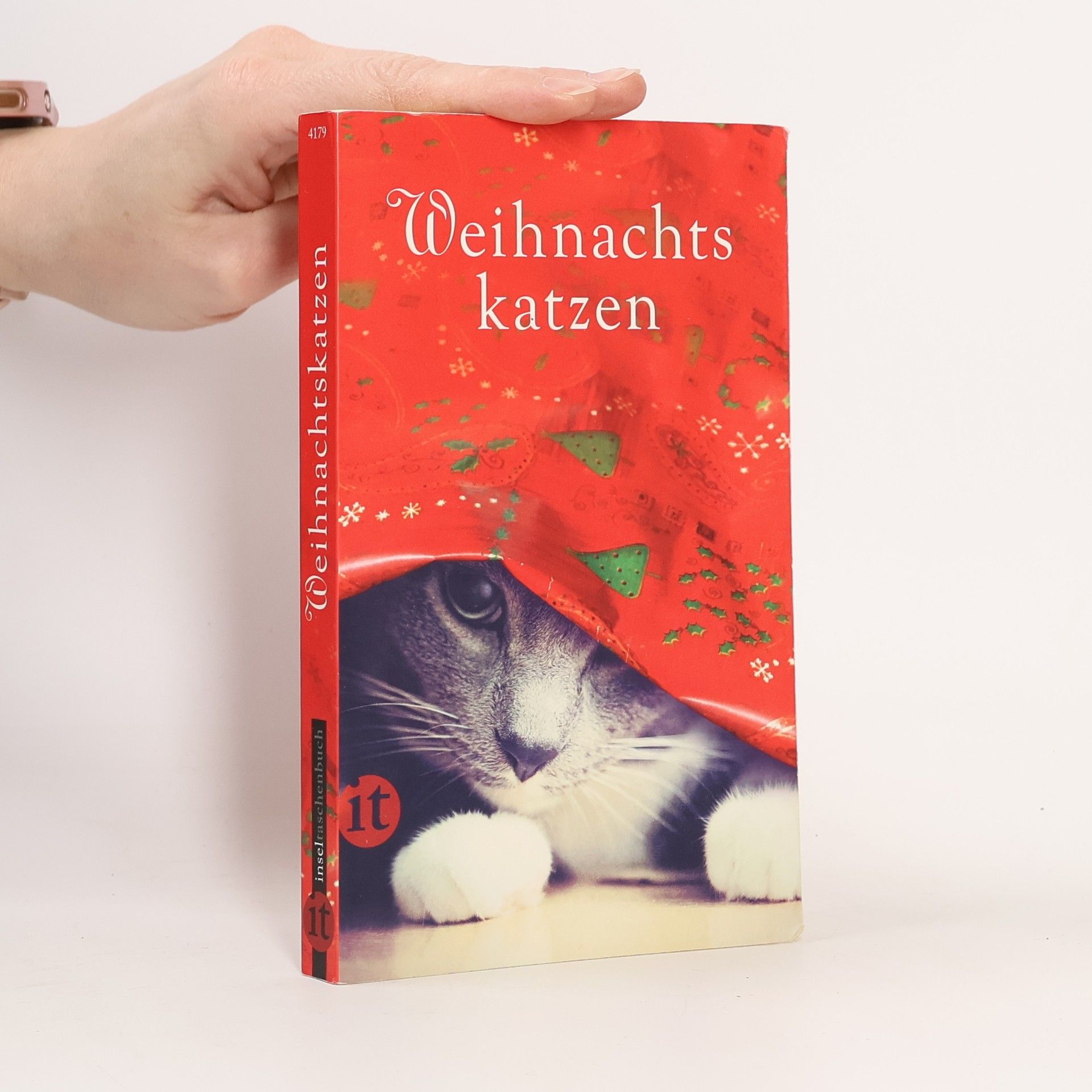 Gesine Dammel Weihnachtskatzen