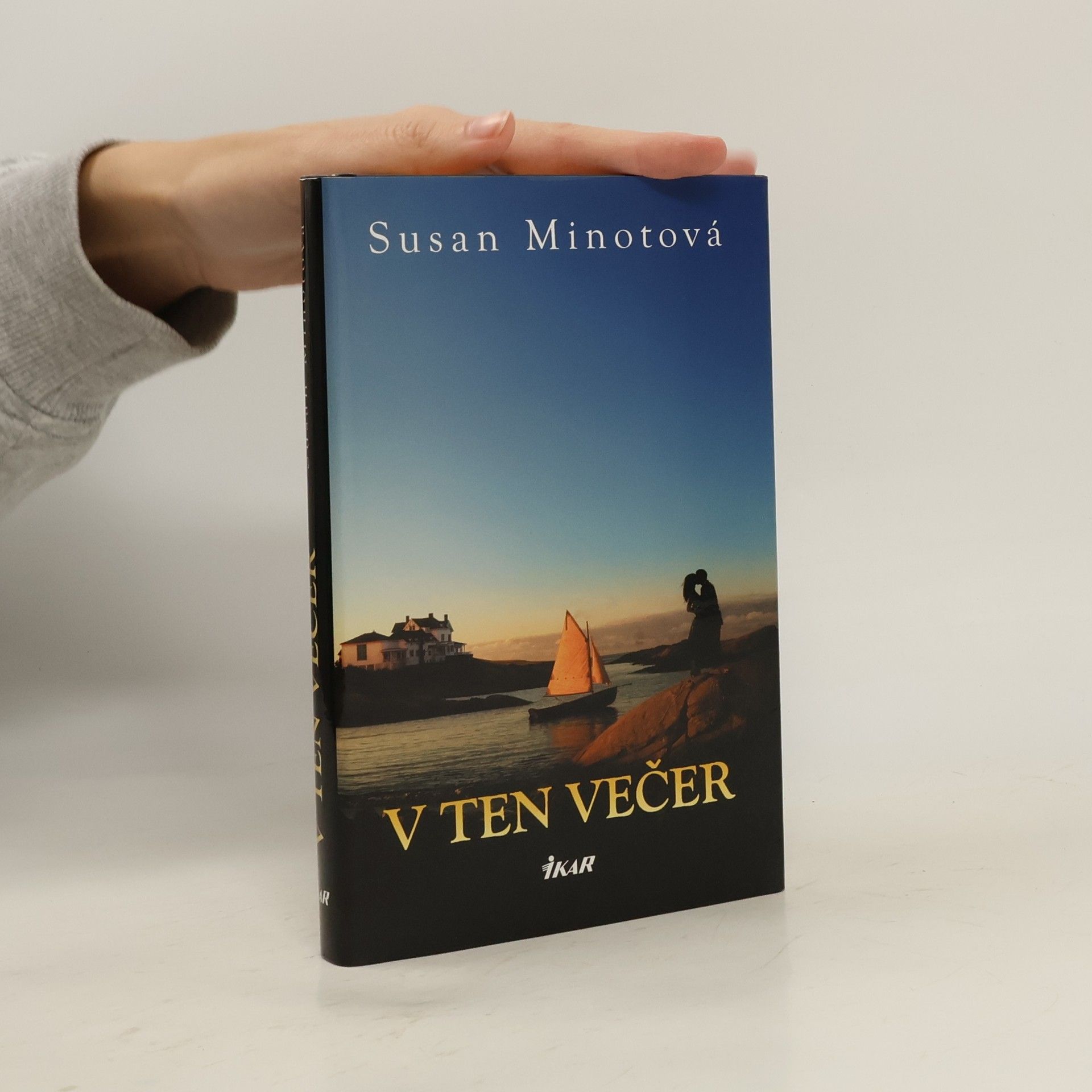 Susan Minot V ten večer