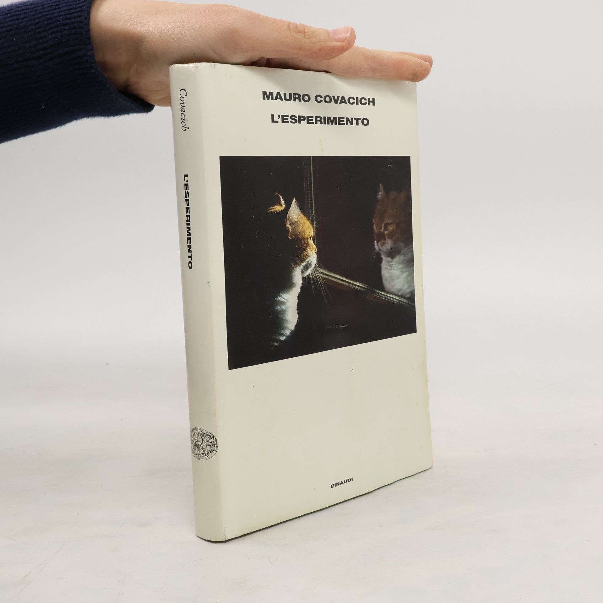 Mauro Covacich L'esperimento
