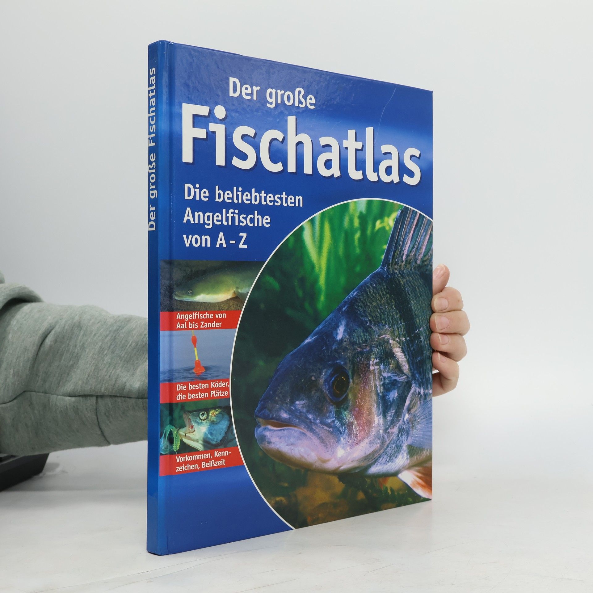 Kolektív autorov Der große Fischatlas