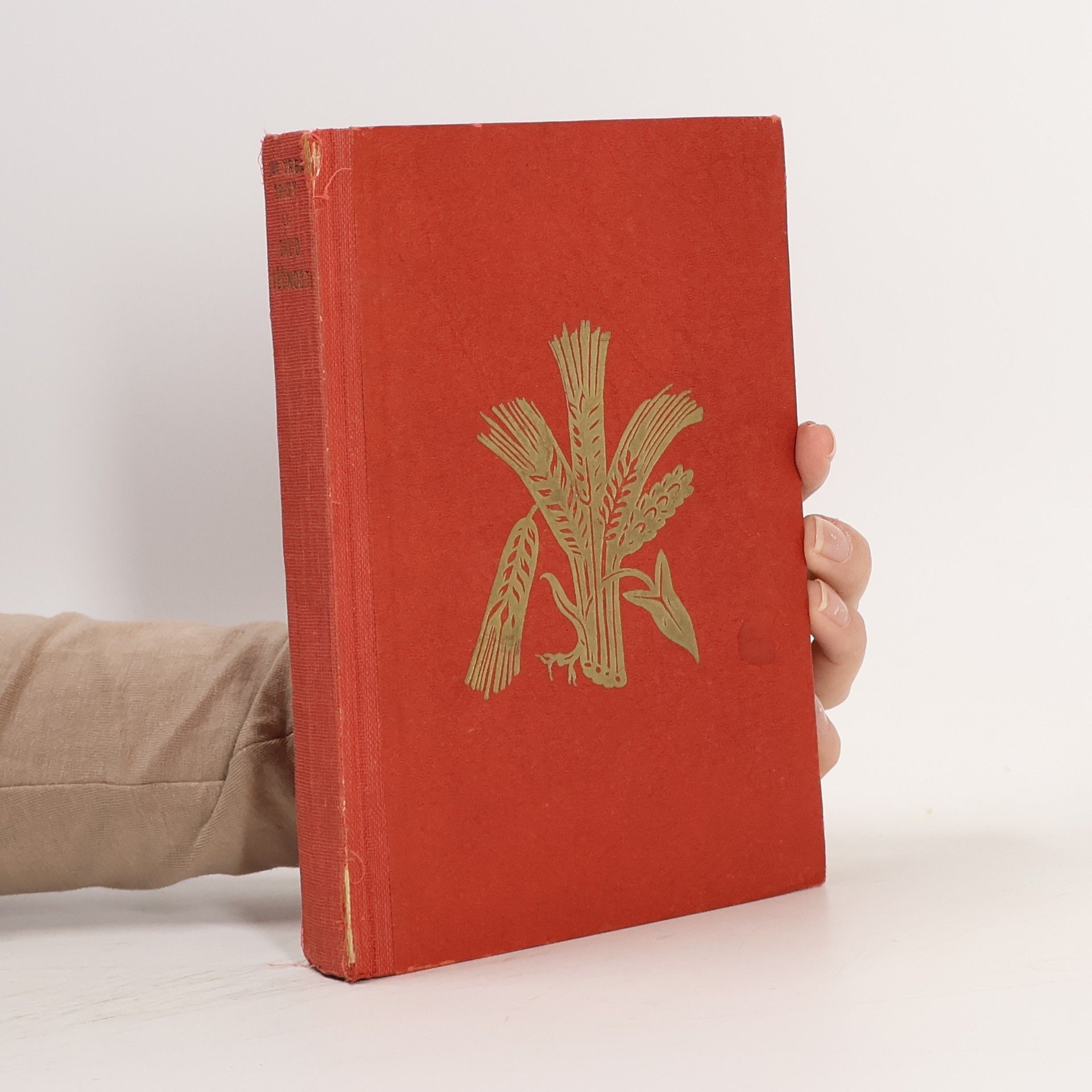 Jan Vrba Dílo věčnosti. Kniha přírodních próz ze Slovenska