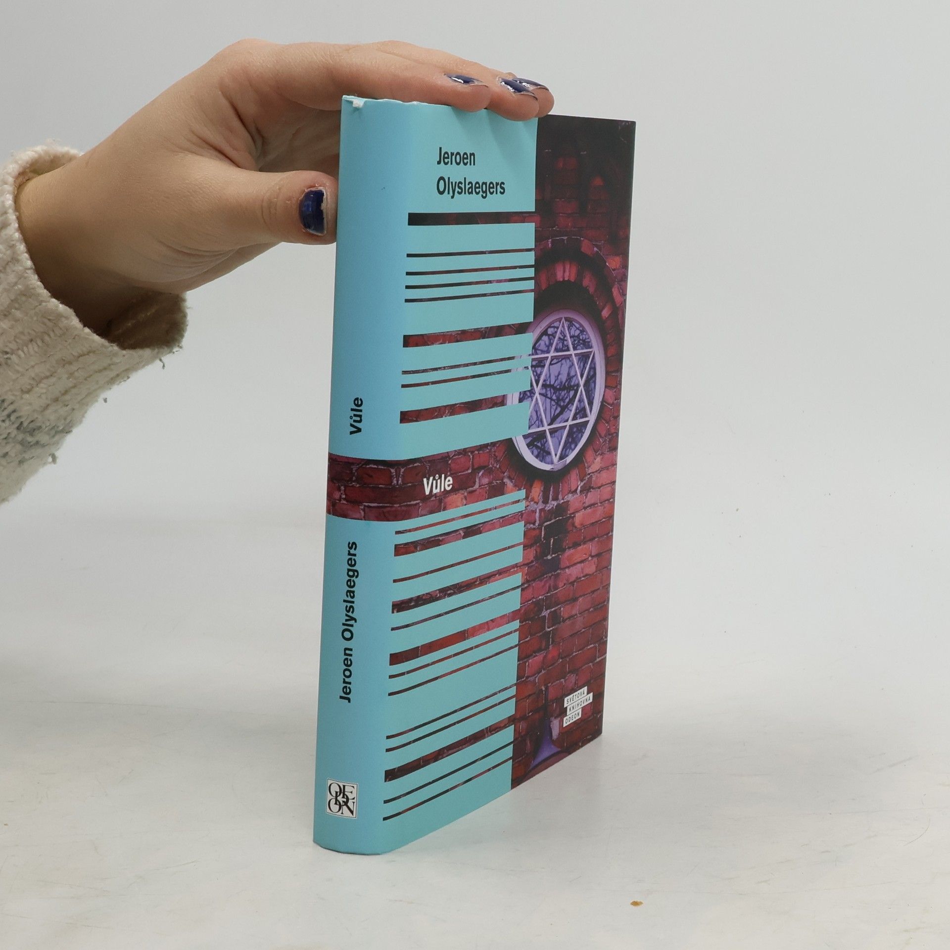 Jeroen Olyslaegers Vůle