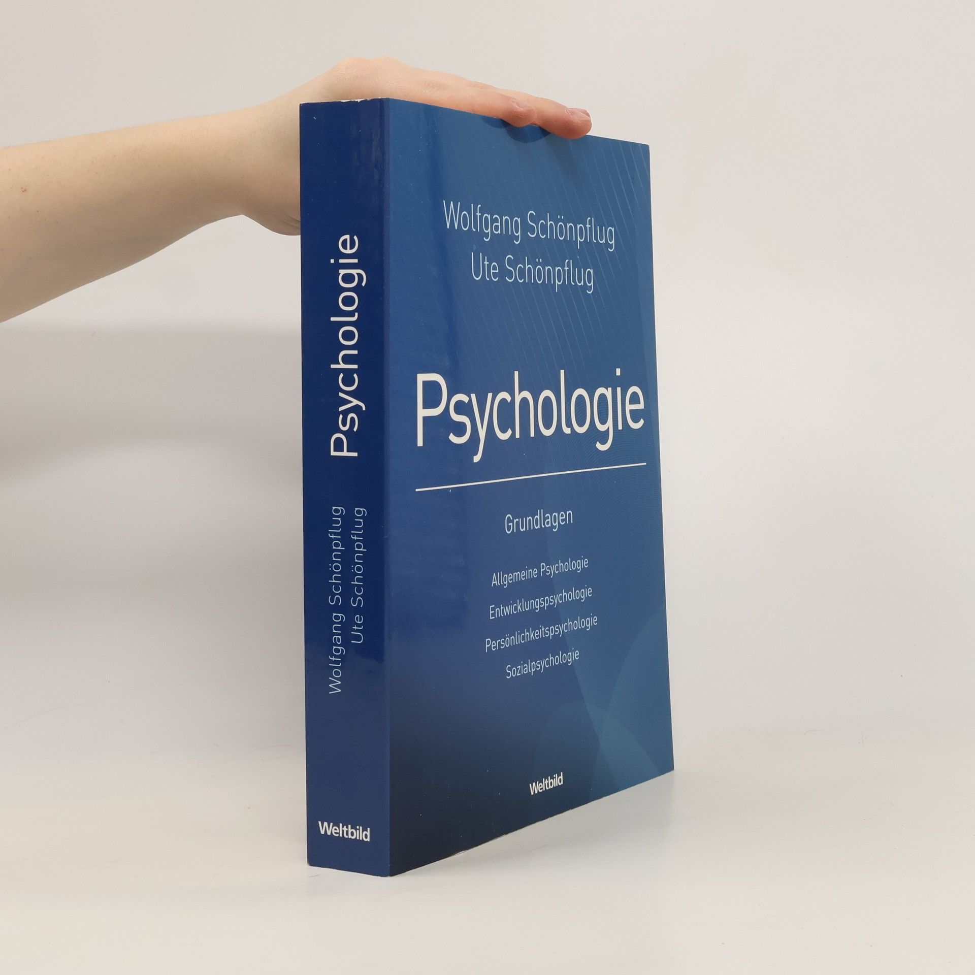Wolfgang Schönpflug Psychologie. Grundlagen